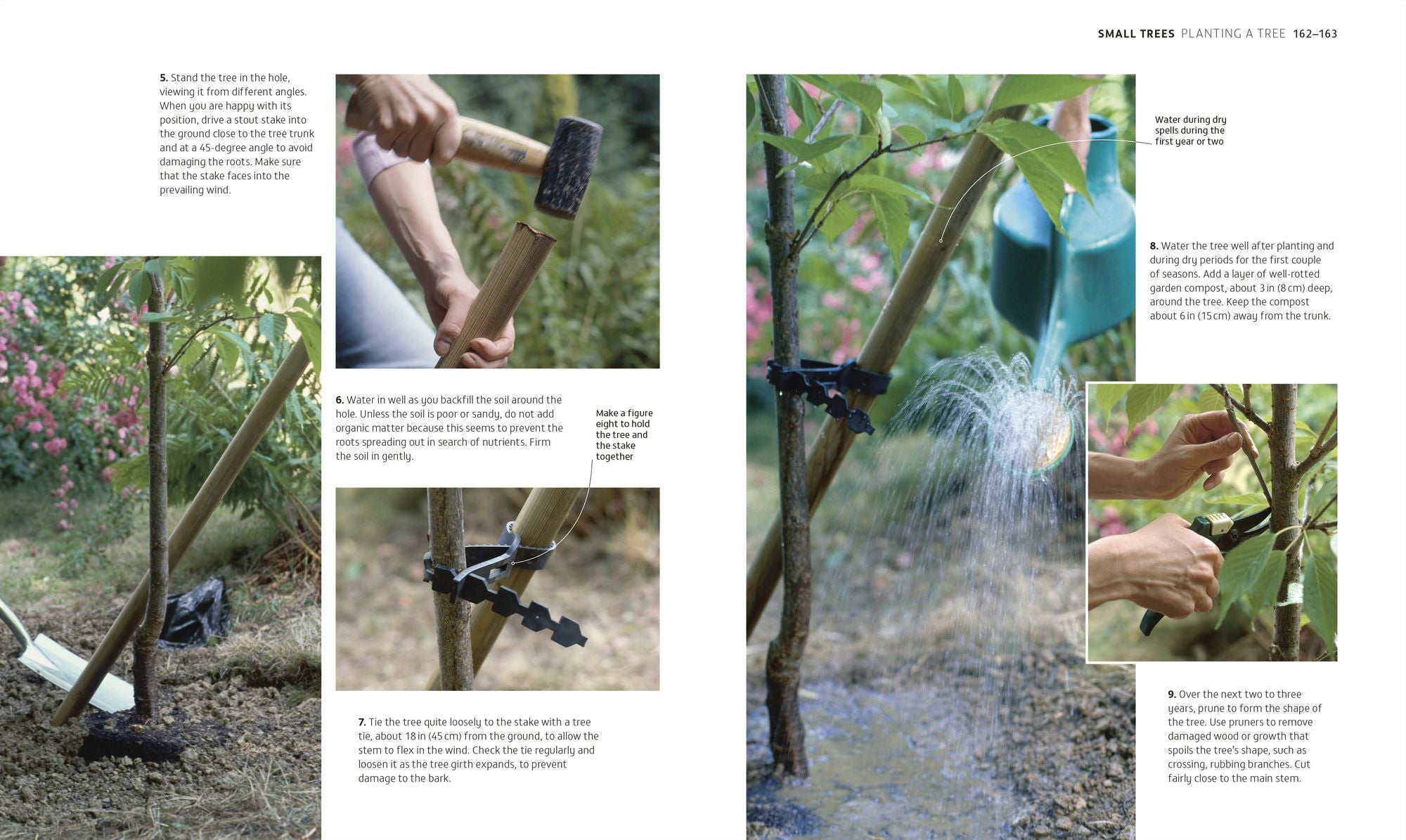 Beginner Gardening Step by Step: A Visual Guide to Yard and Garden Basics