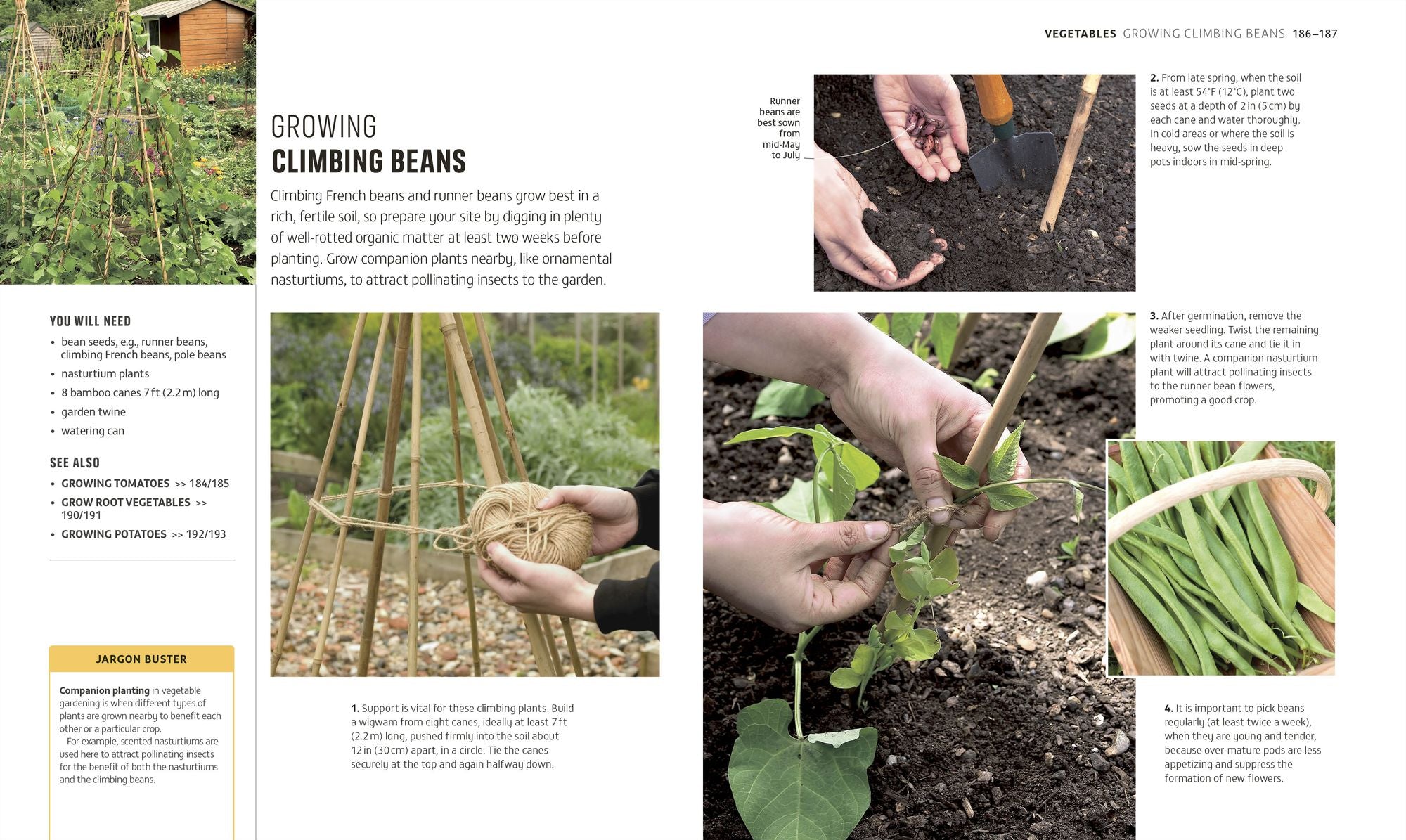 Beginner Gardening Step by Step: A Visual Guide to Yard and Garden Basics
