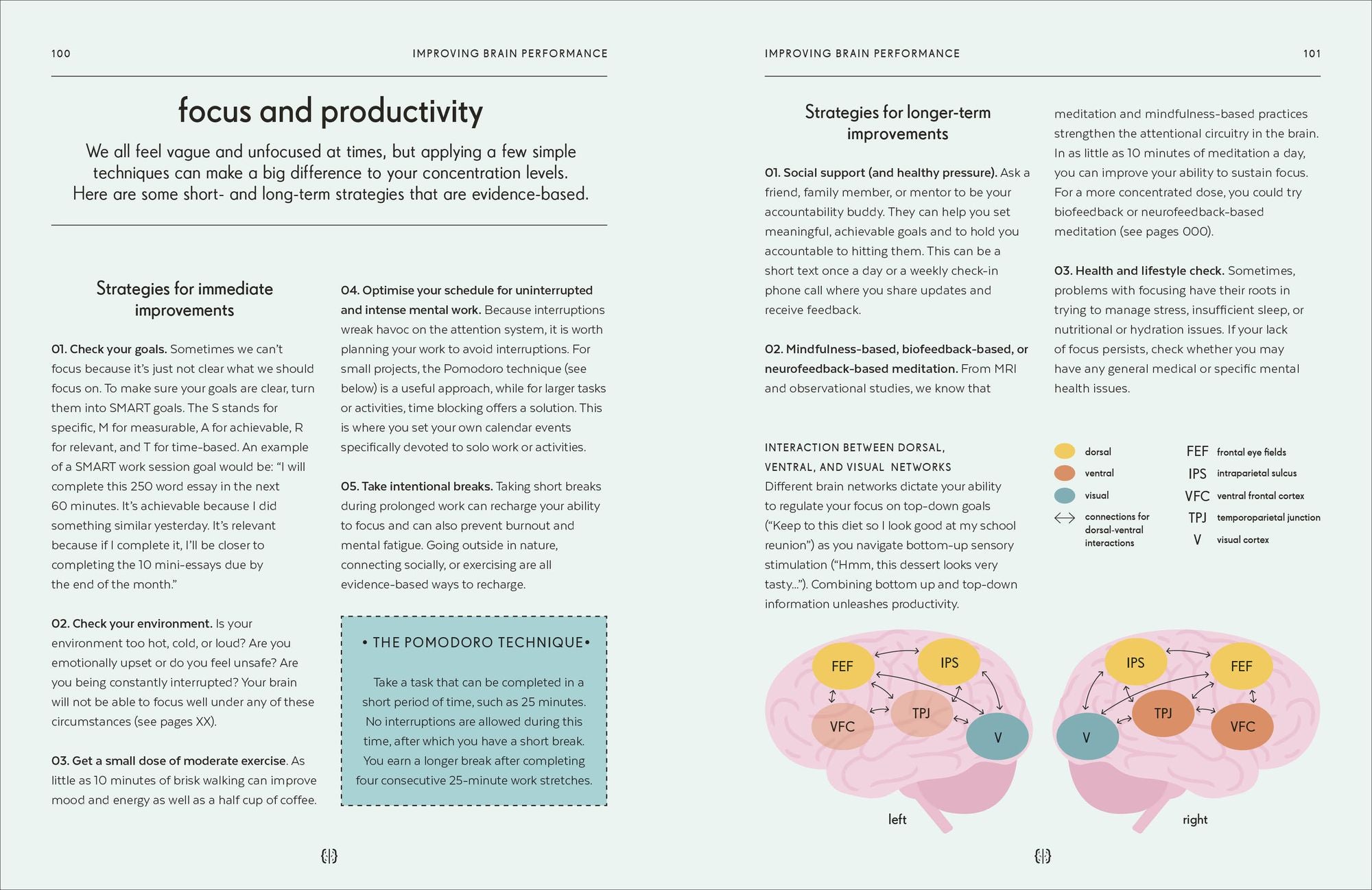 Brain: An Owner's Guide