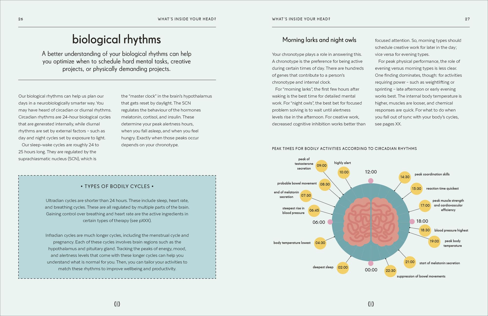 Brain: An Owner's Guide