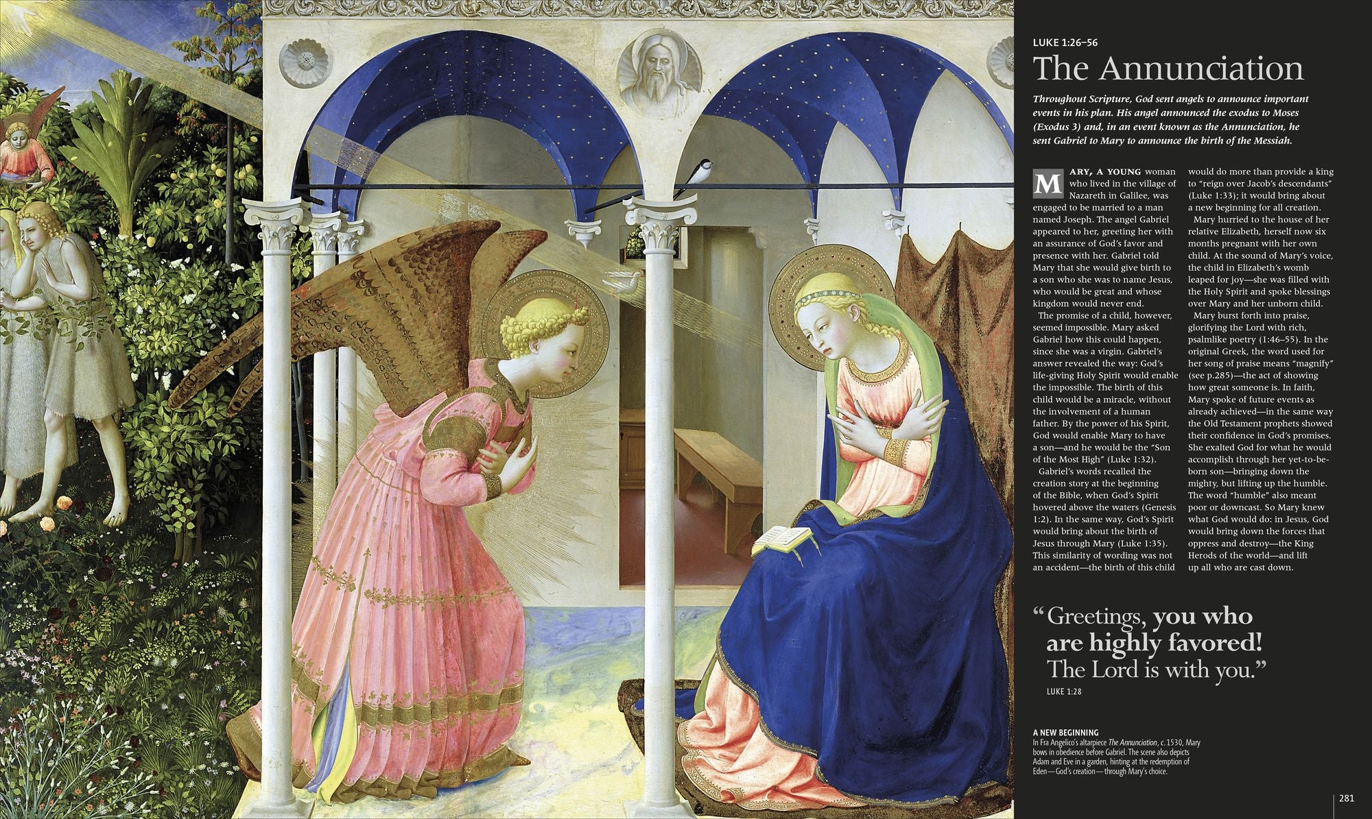 The Illustrated Bible Story by Story