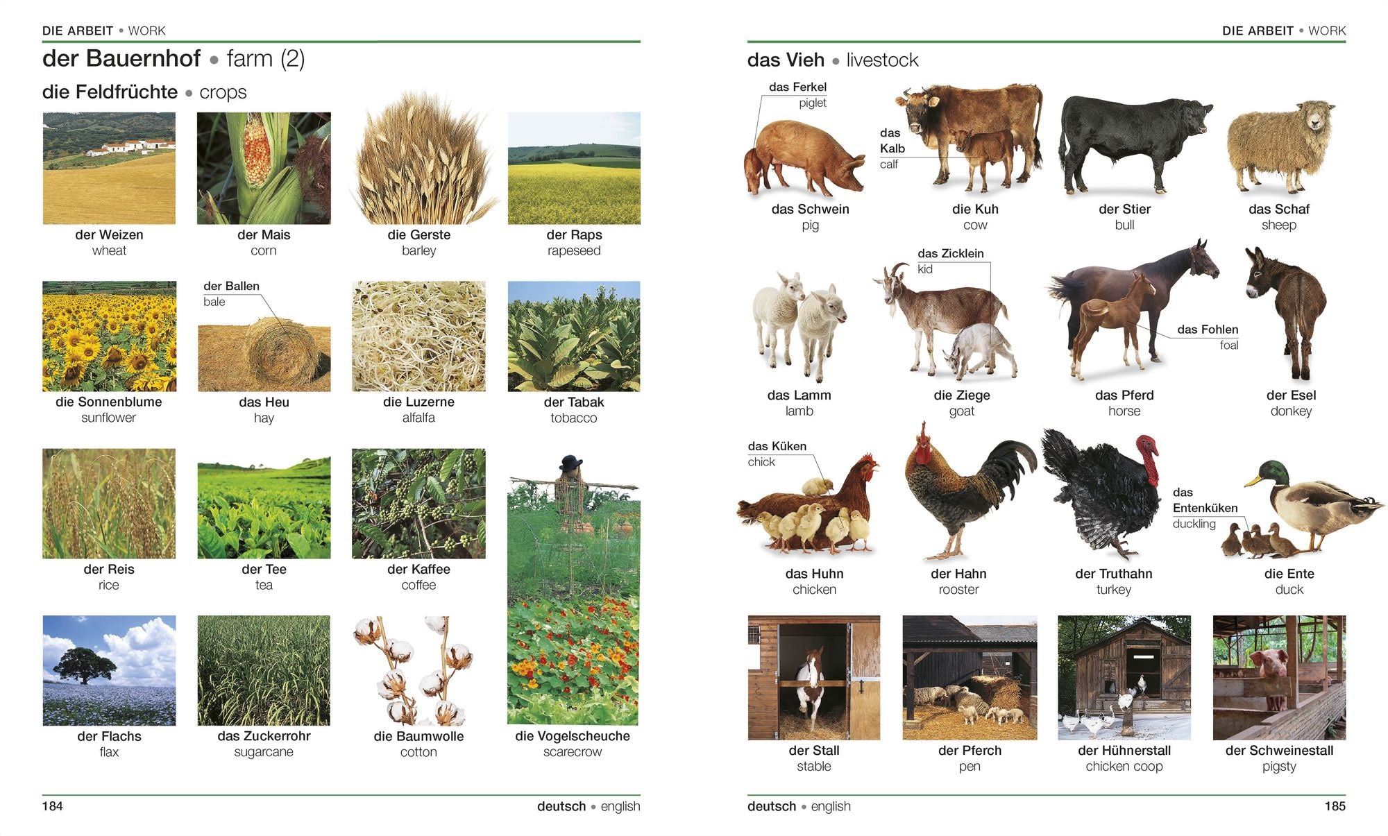 German English Bilingual Visual Dictionary