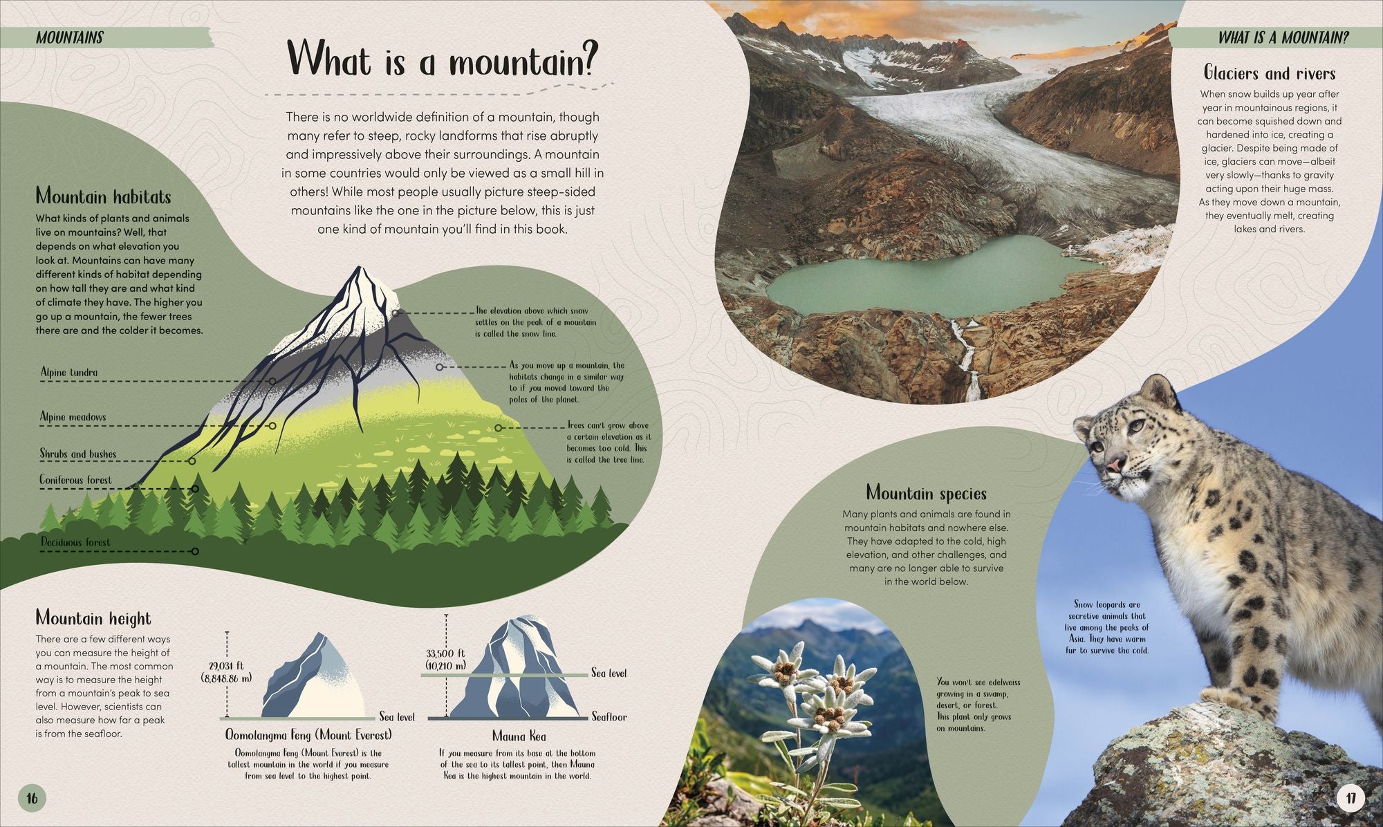 Mountain: Go On a Grand Tour of the Highest Places on Earth