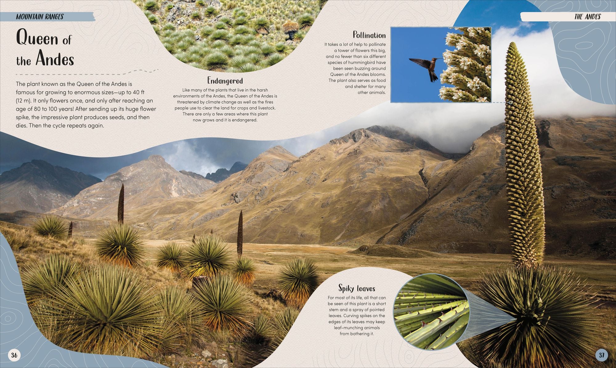 Mountain: Go On a Grand Tour of the Highest Places on Earth