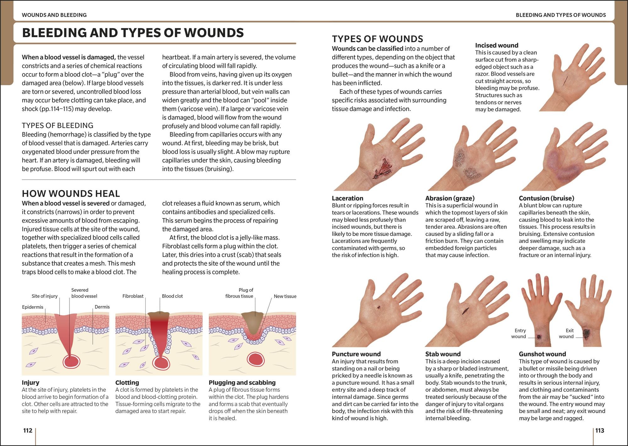 ACEP First Aid Manual