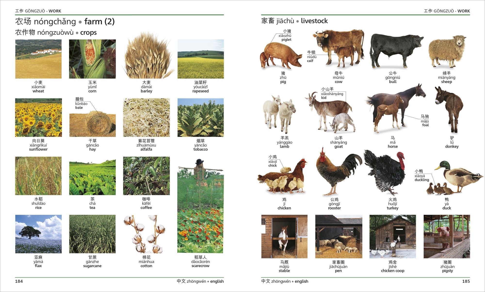 Mandarin Chinese - English Bilingual Visual Dictionary