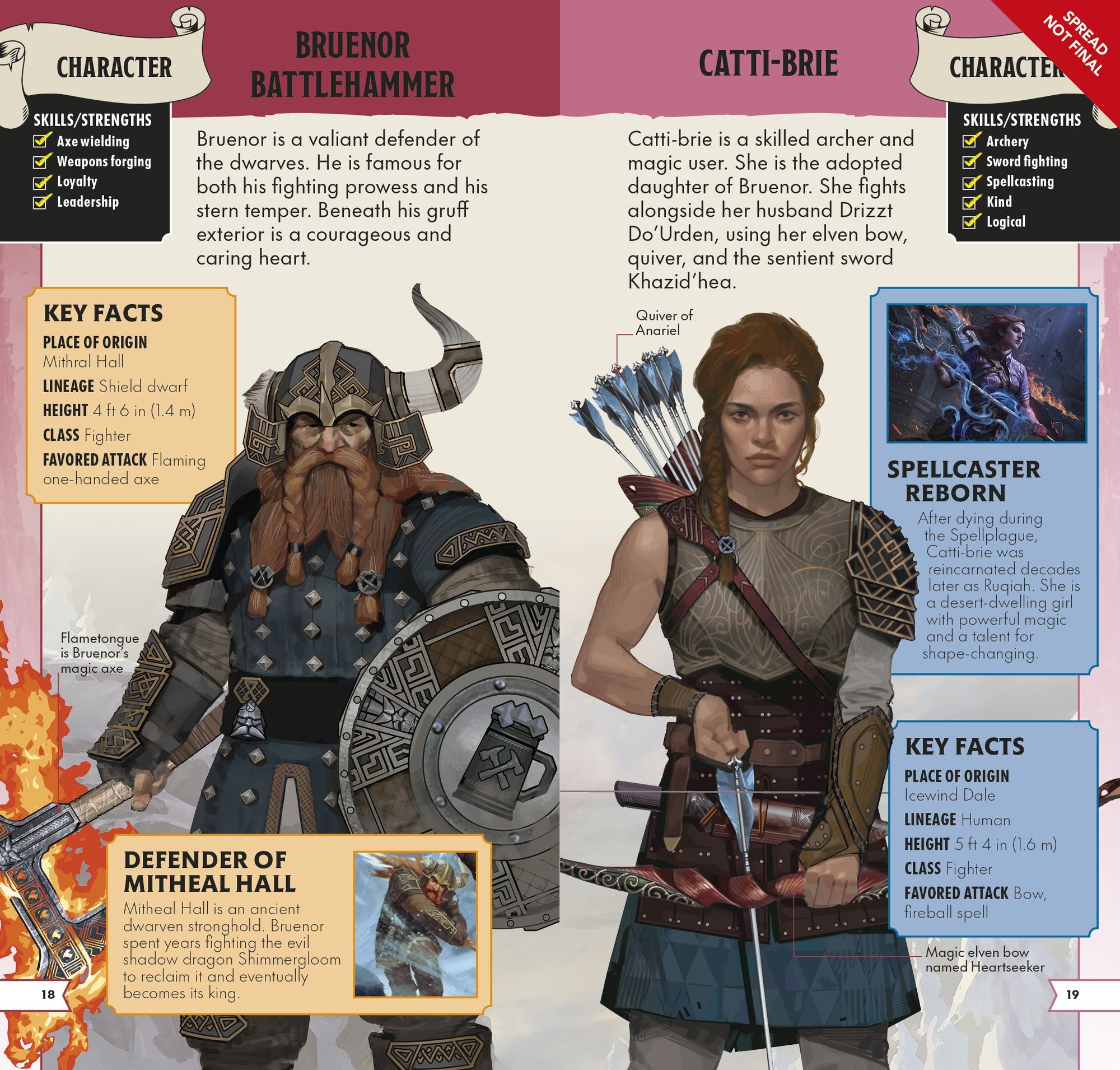 Dungeons & Dragons Pocket Expert