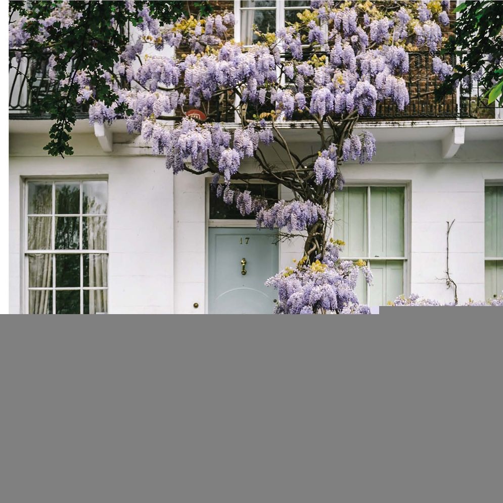 prettycitylondon: The Petite Guide to London's Beautiful Places: The Petite Guide to London's Beautiful Places