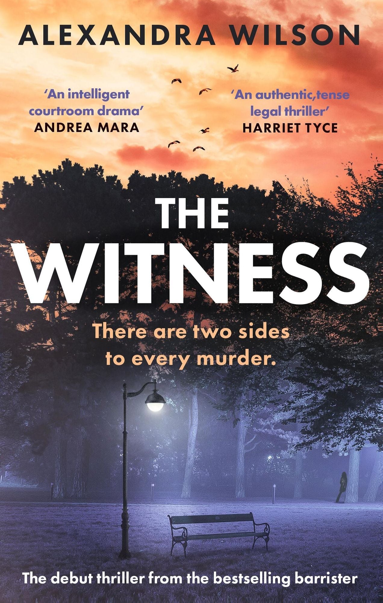 The Witness: The most authentic, twisty legal thriller, from the barrister author of In Black and White
