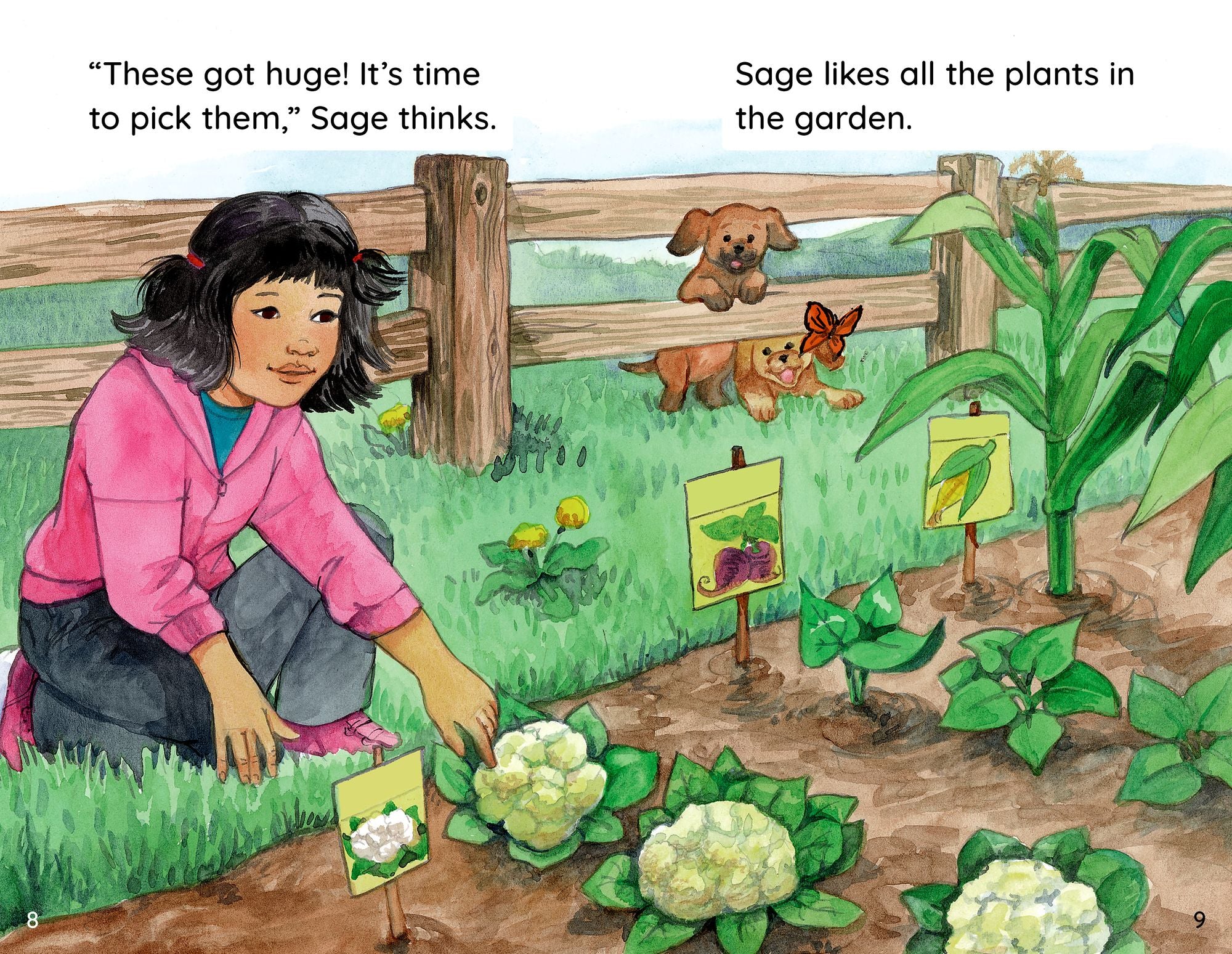 Sage's Plants