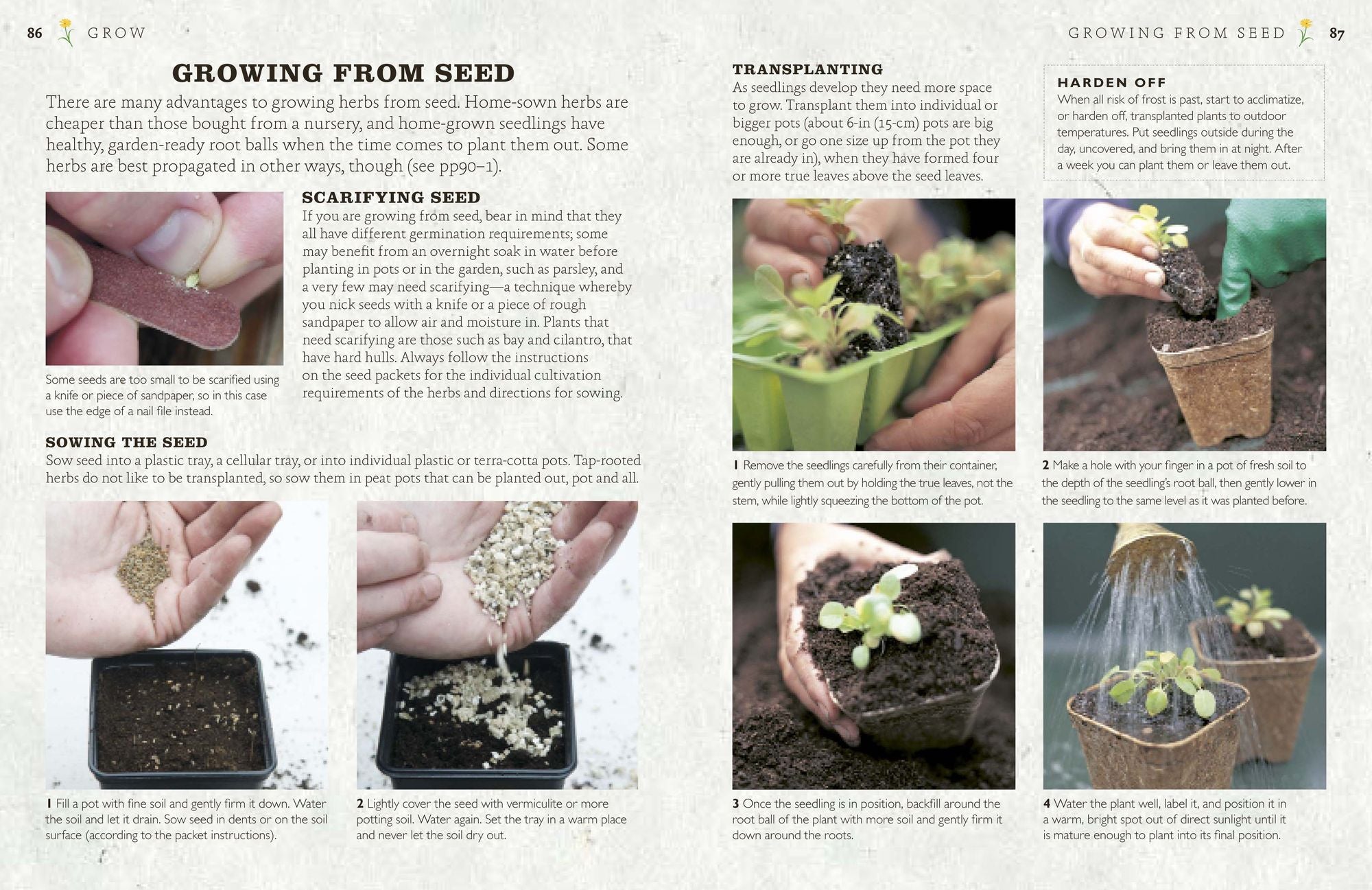 The Cook's Herb Garden: Grow, Harvest, Cook