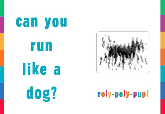 Gallop!: A Scanimation Picture Book