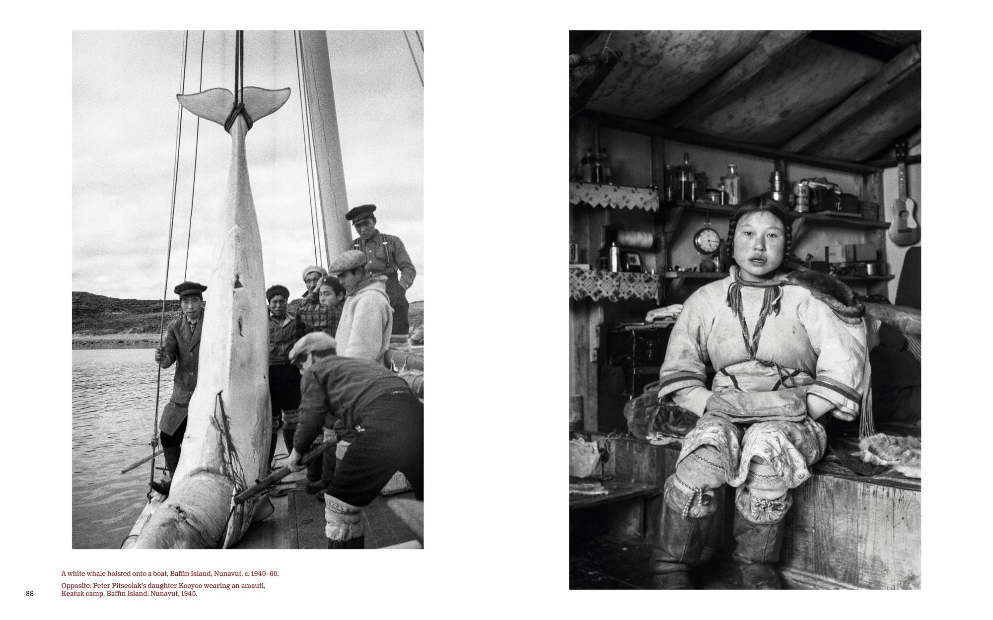 In Light and Shadow: A Photographic History from Indigenous America