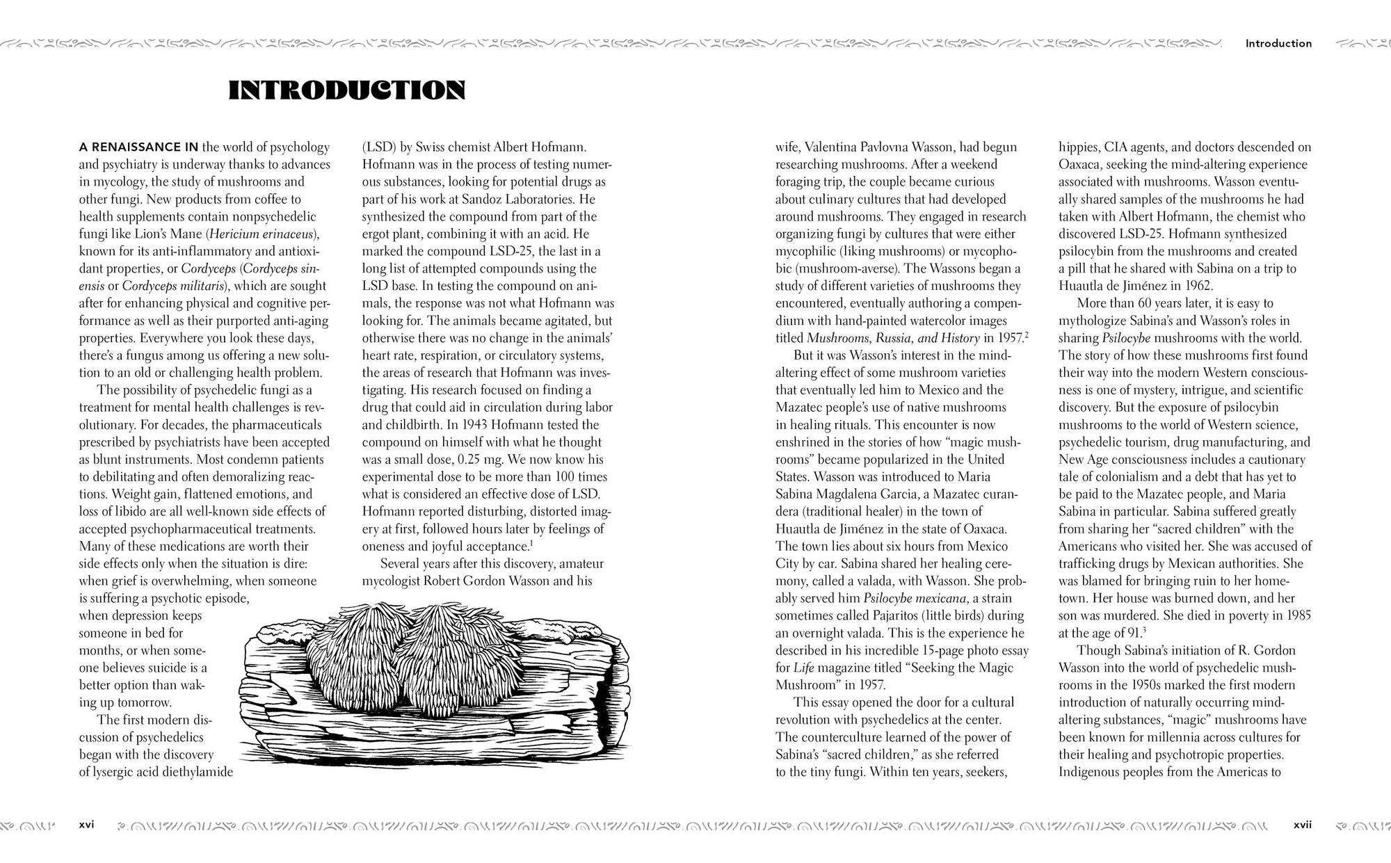 Mushroom Pharmacy: A Practical Guide to Psychedelic Mushrooms