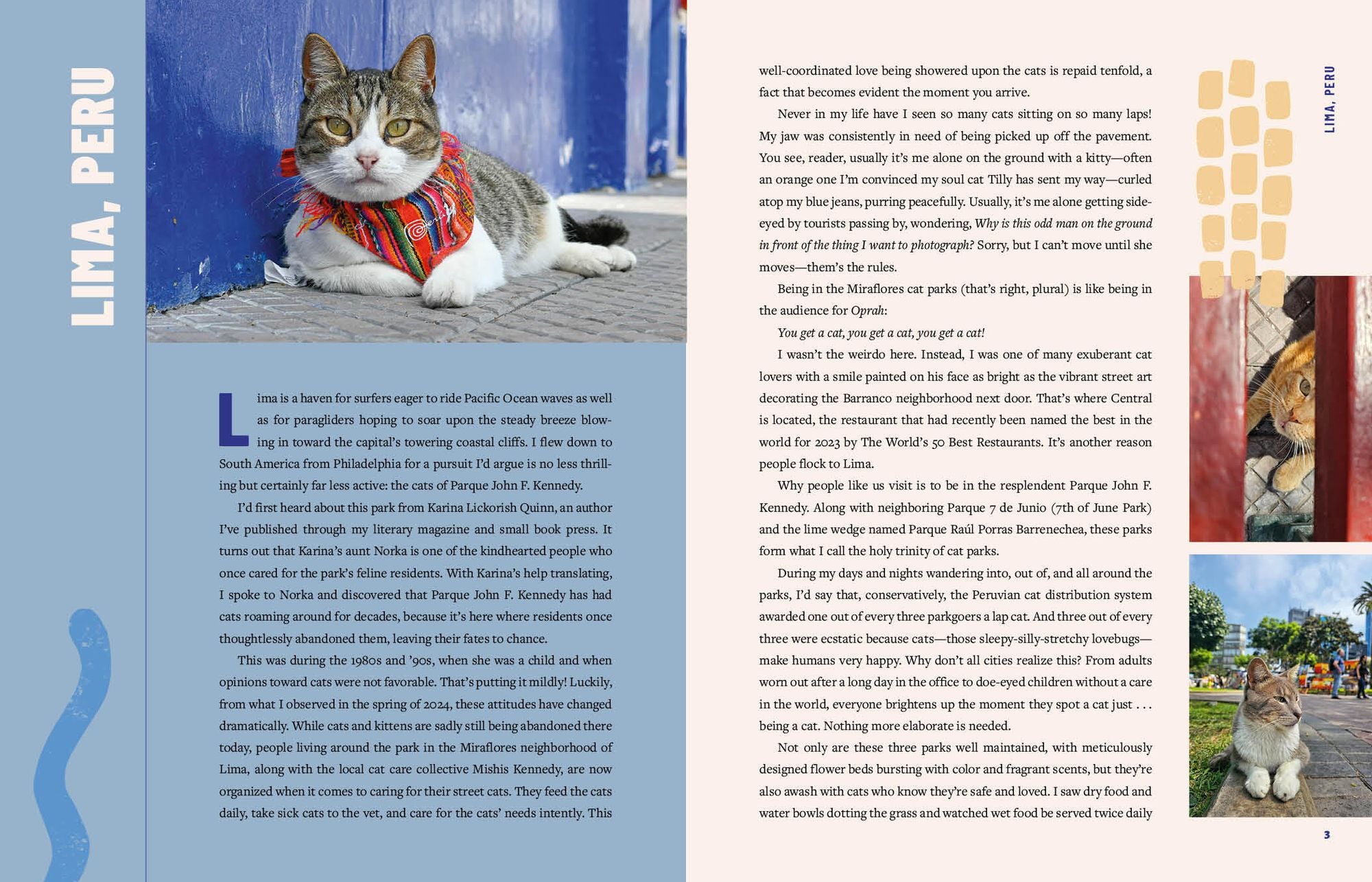 Street Cats & Where to Find Them: The Most Feline-Friendly Cities and Attractions Around the World