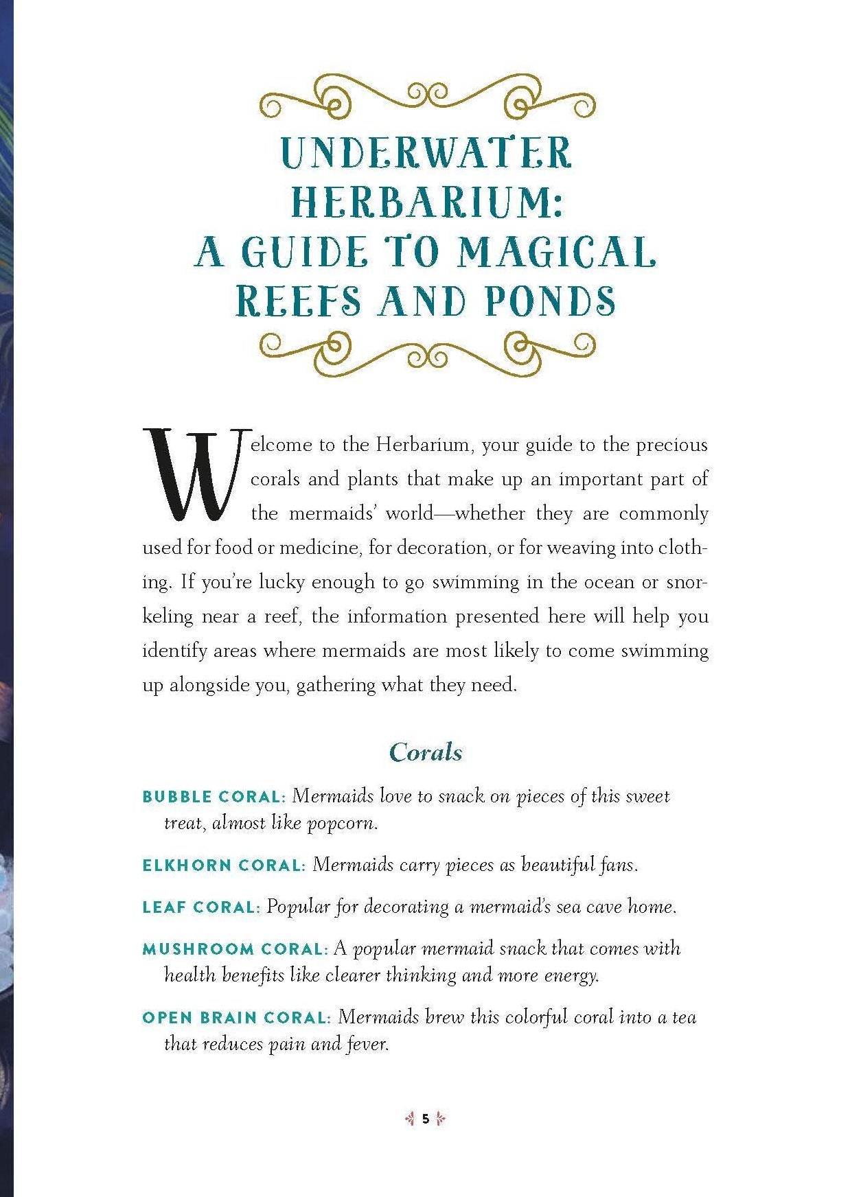 How to Spot a Mermaid: A Field Guide to Magical Sea People