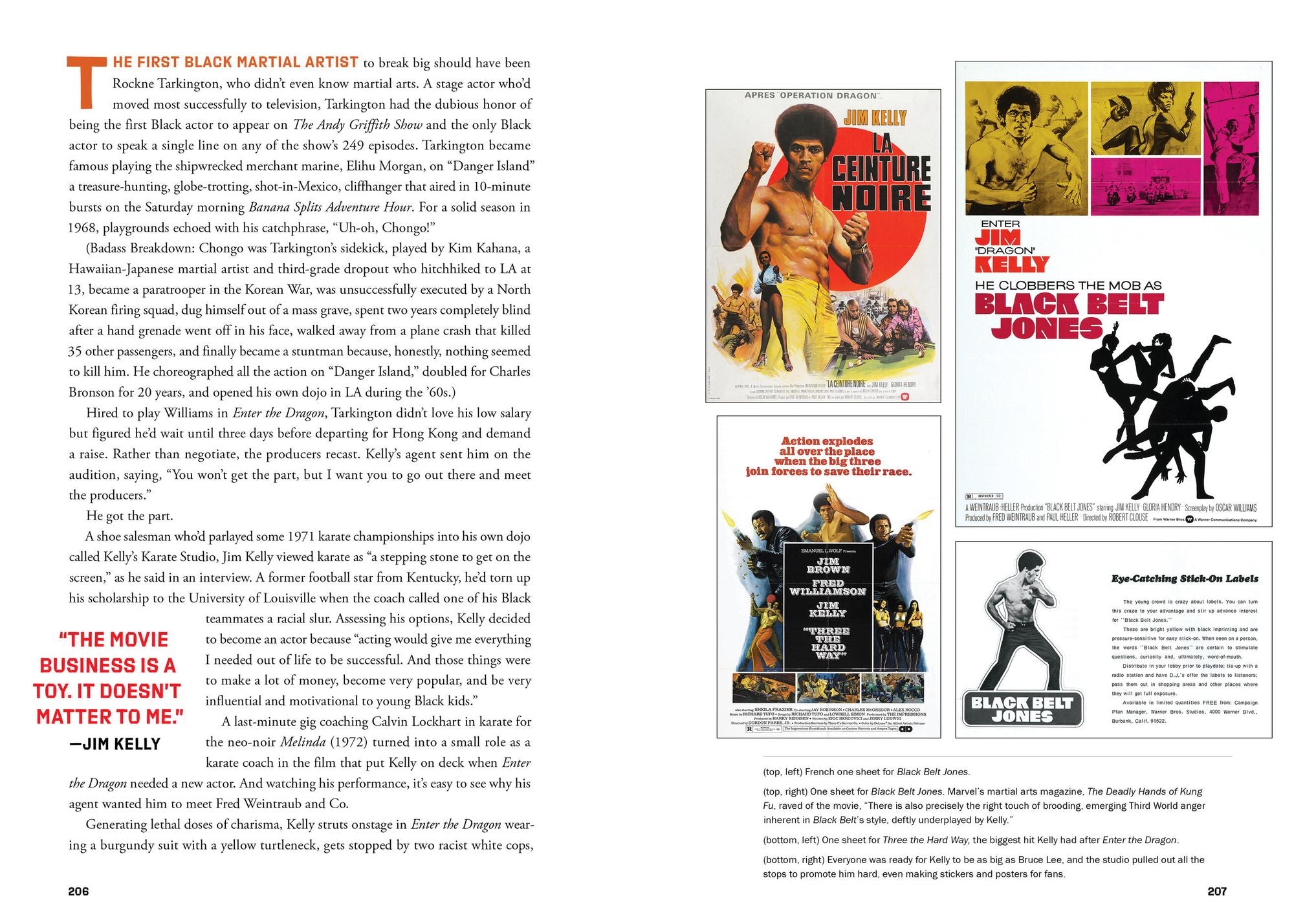 These Fists Break Bricks (Revised and Expanded Edition): How Kung Fu Movies Swept America and Changed the World