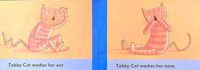 Hey, Tabby Cat!: Brand New Readers