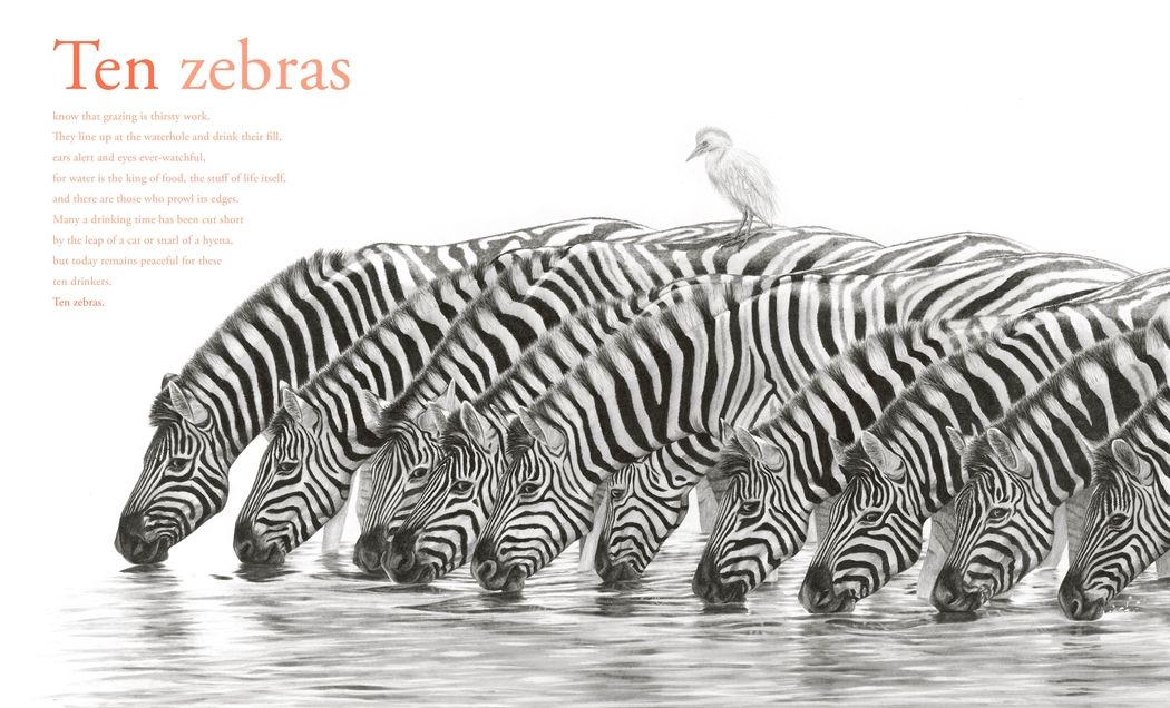 Counting Lions: Portraits from the Wild