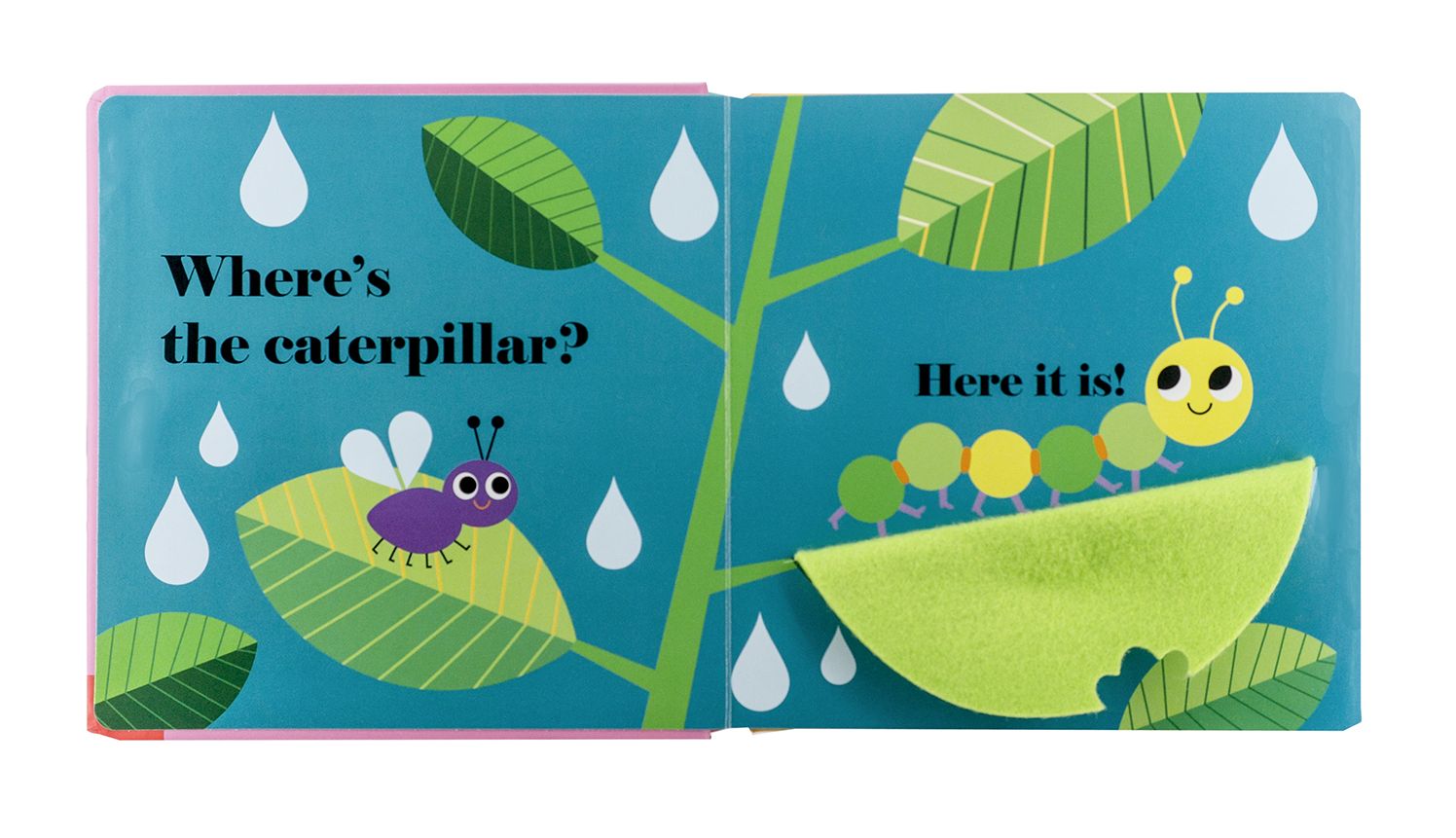 Where's the Ladybug?