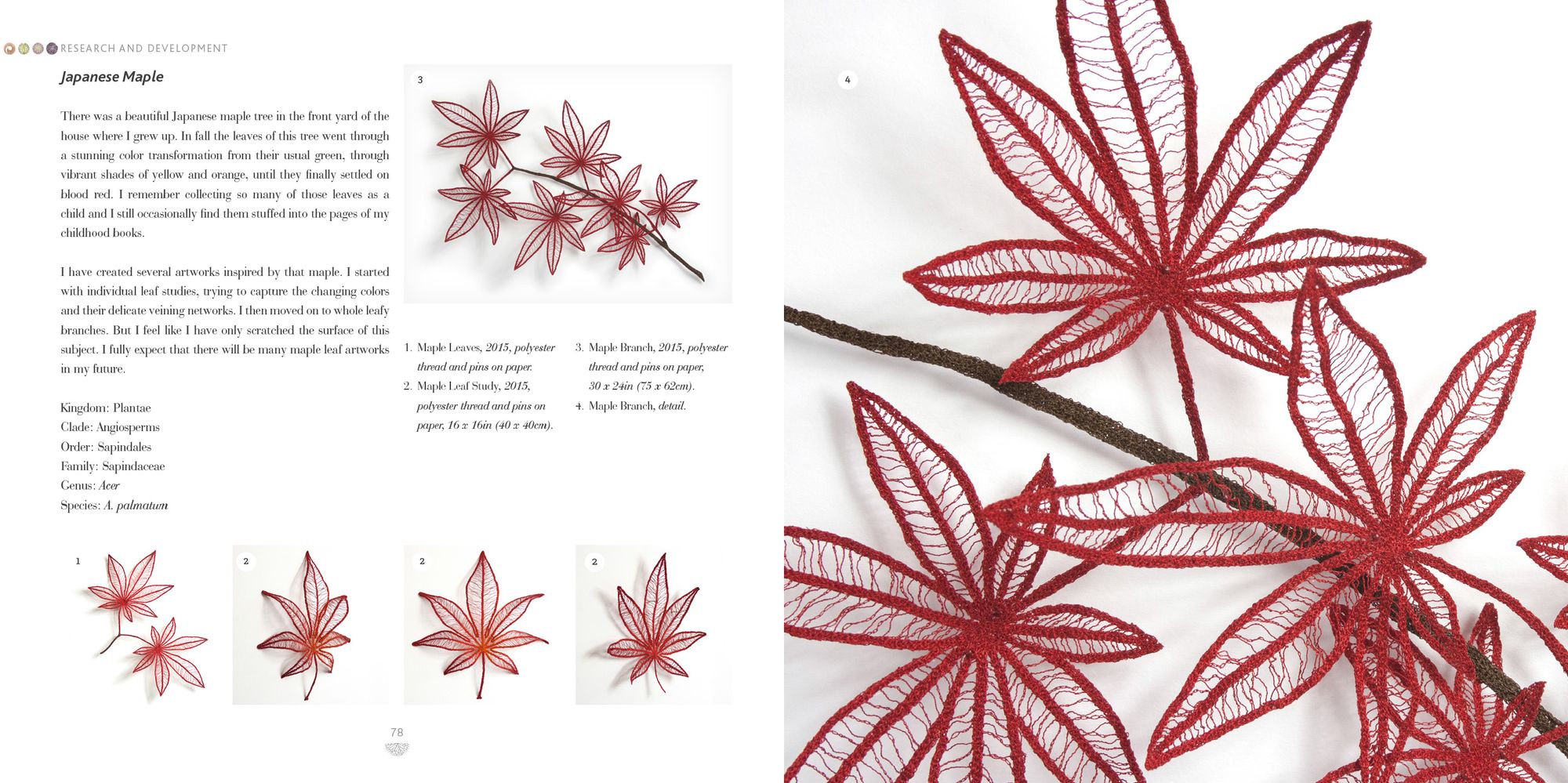 Organic Embroidery