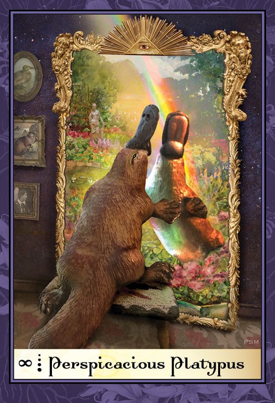 Boadicea's Tarot of Earthly Delights: (Tarot Kit Box Set with 80 Cards and Guide Book)