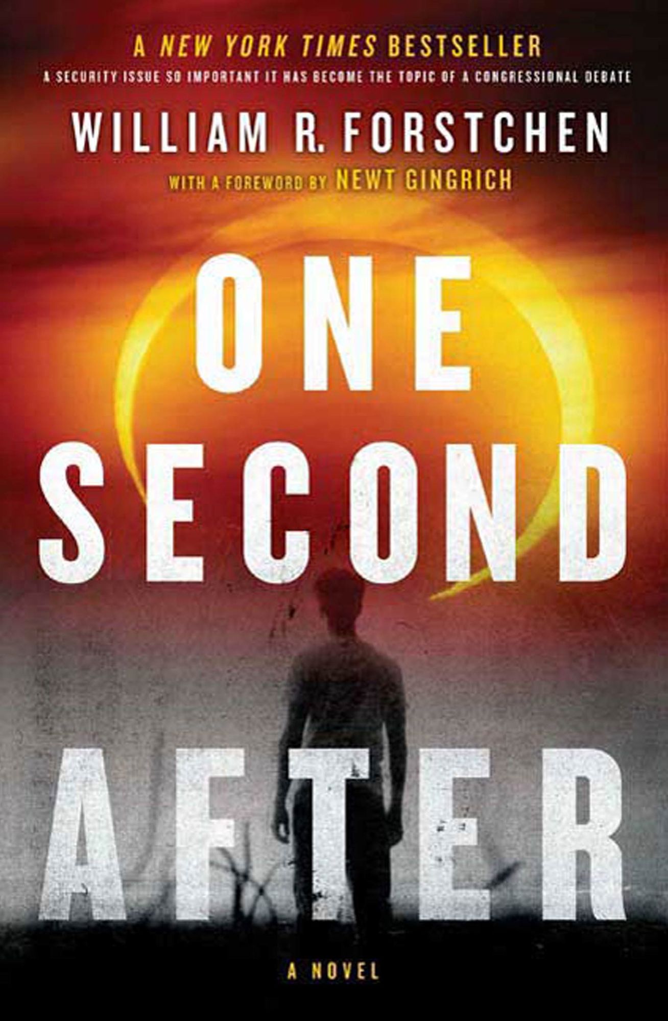 One Second After (John Matherson Series #1)