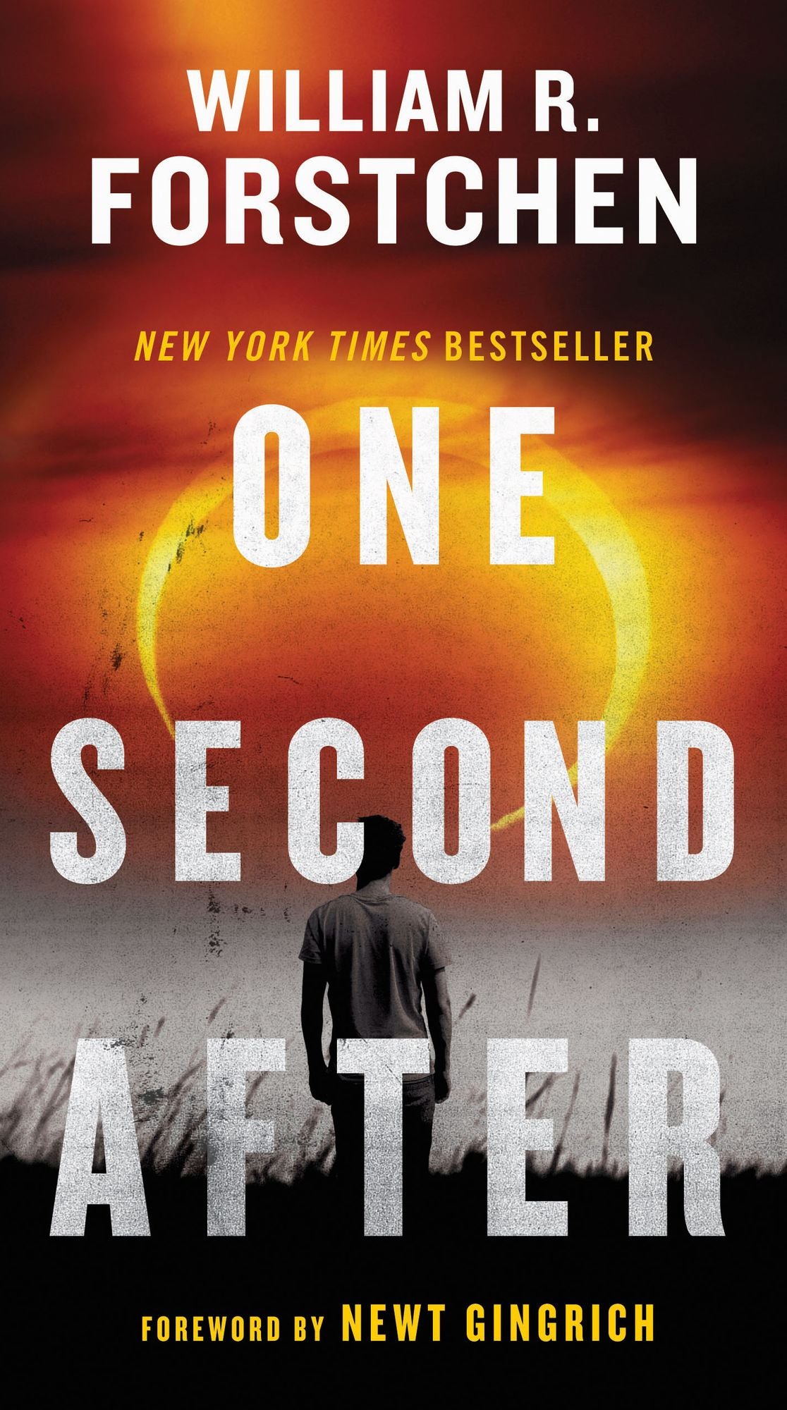 One Second After (John Matherson Series #1)