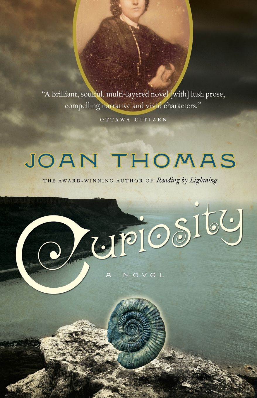 Curiosity