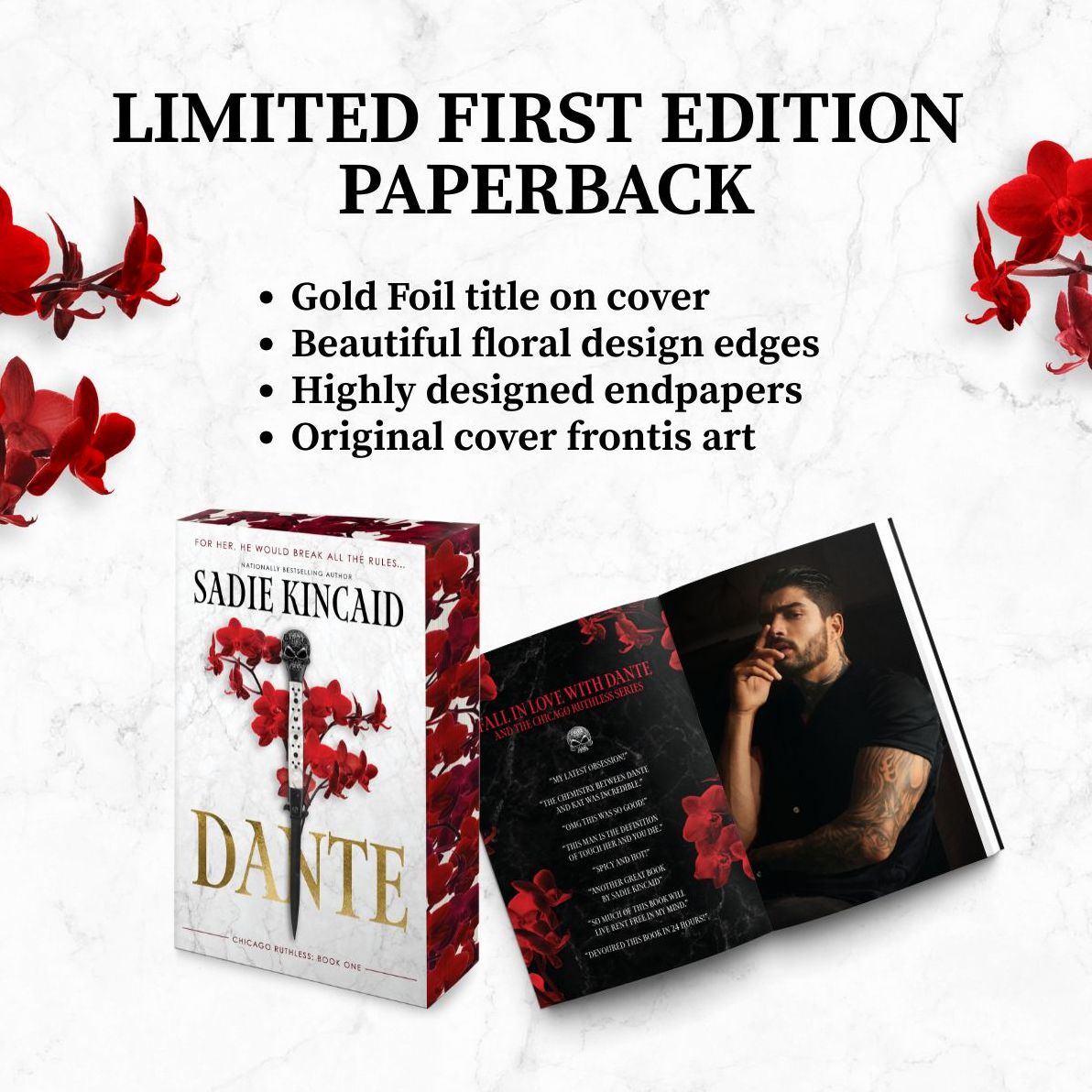 Dante: A Dark Mafia, Enemies to Lovers Romance