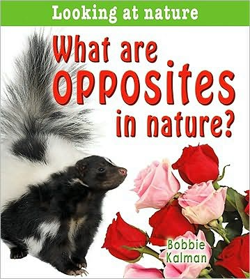 What is symmetry in nature?