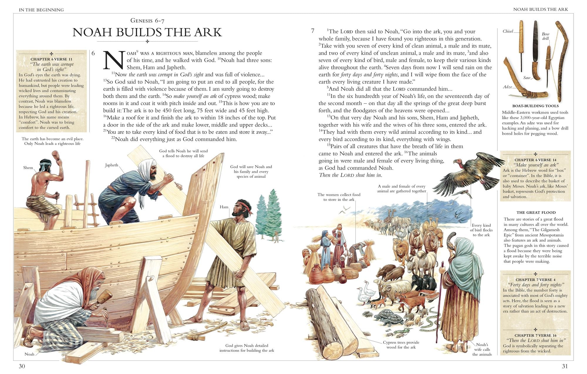 Illustrated Family Bible: Understanding the Greatest Story Ever Told