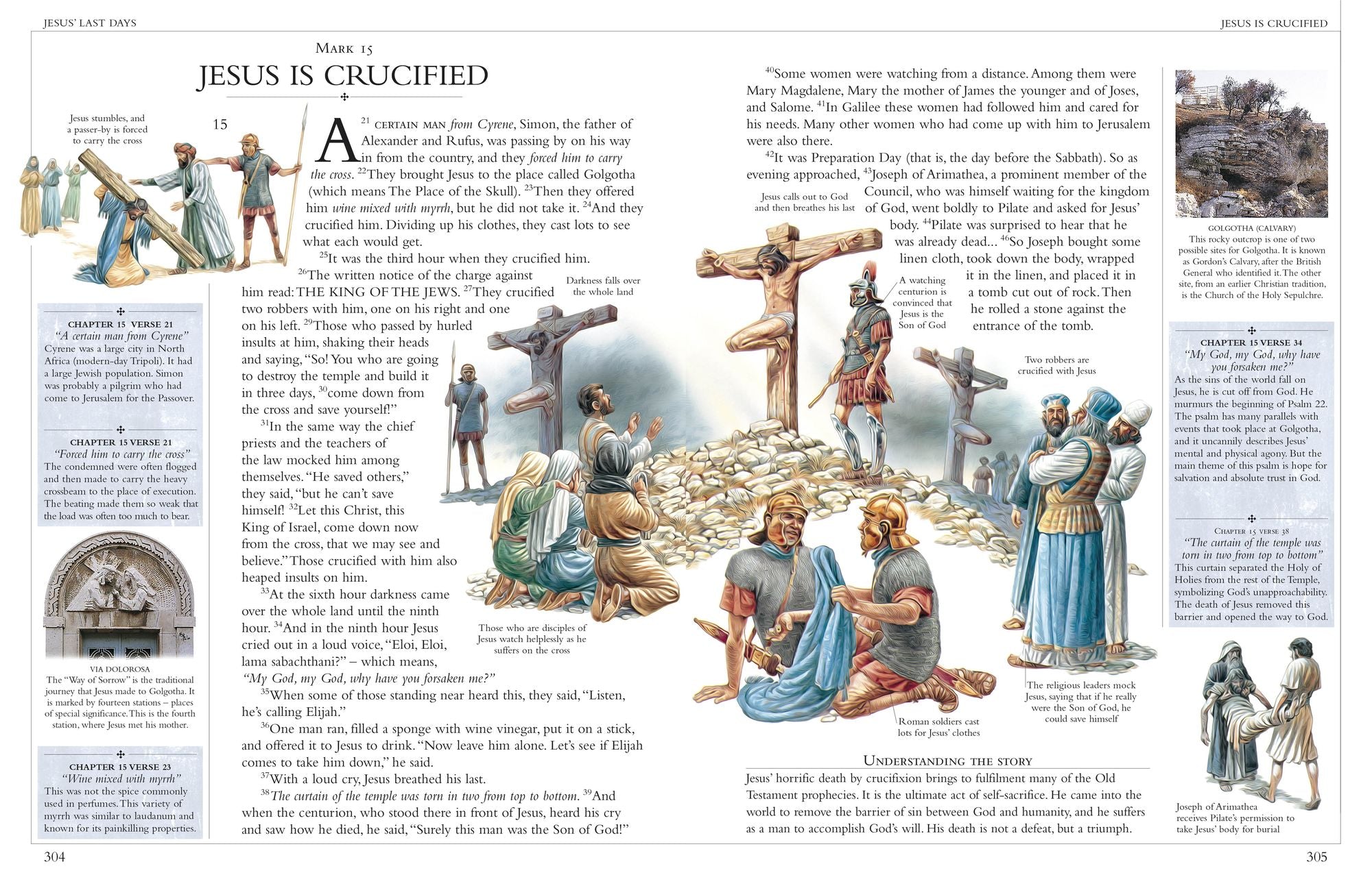 Illustrated Family Bible: Understanding the Greatest Story Ever Told