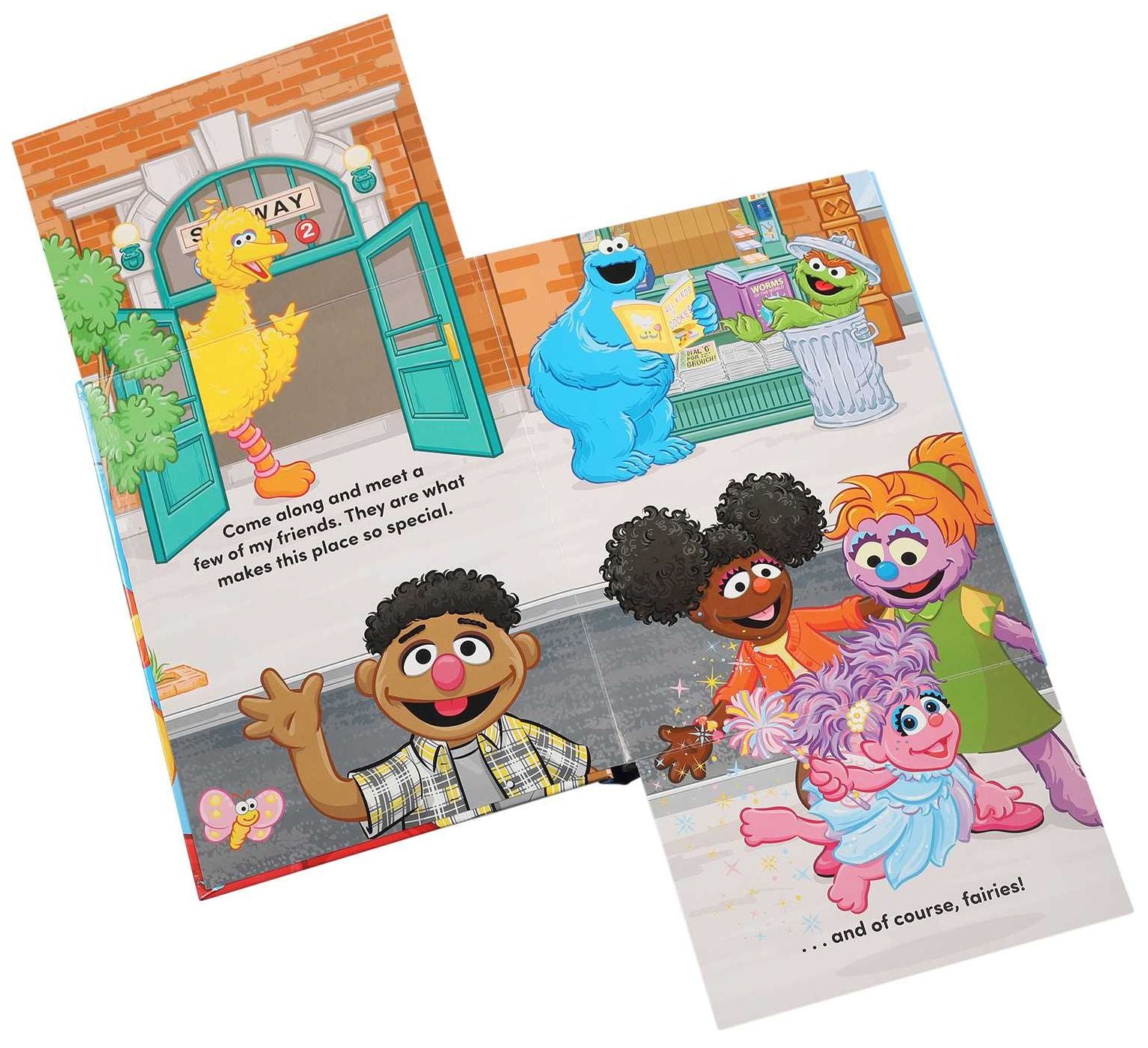 Sesame Street: Let's Celebrate Diversity!: A Book About Us