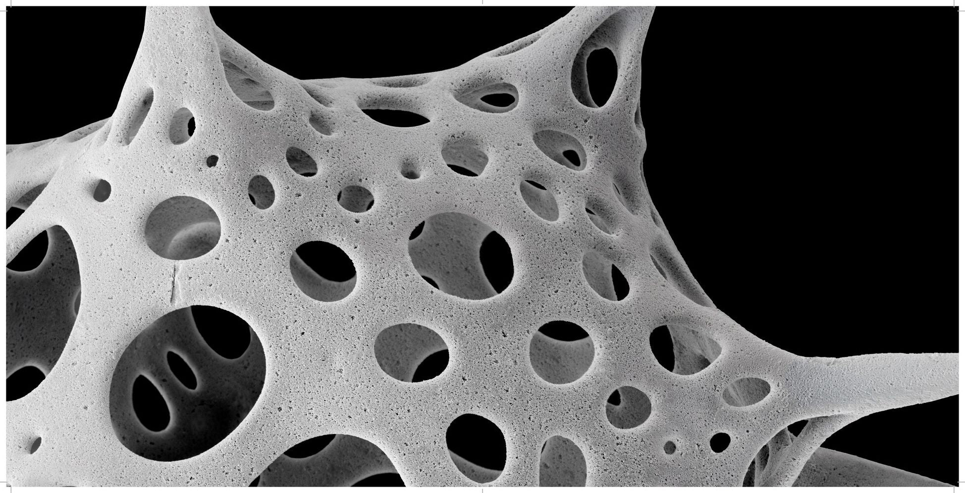Nanocosmos: Journeys in Electron Space