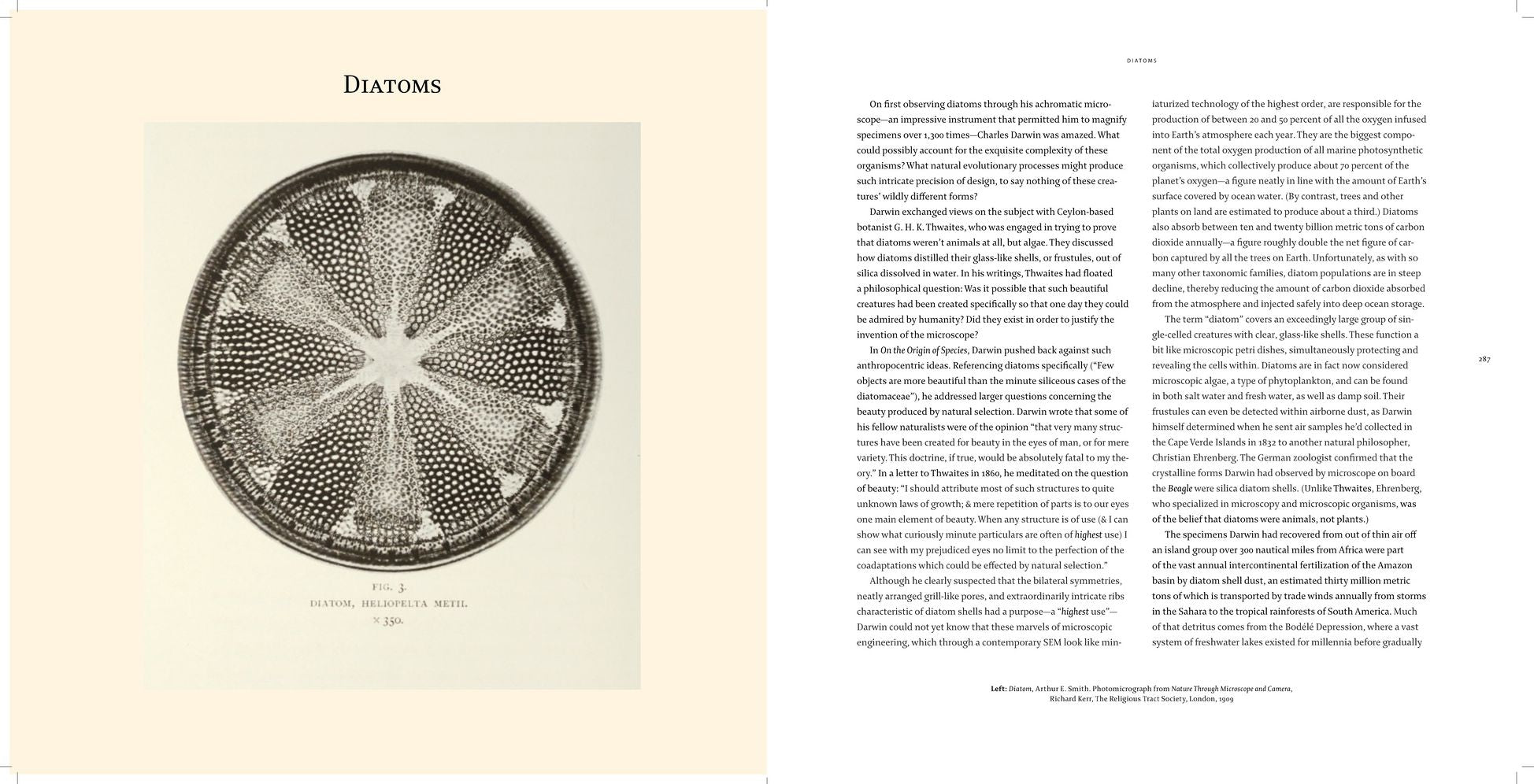 Nanocosmos: Journeys in Electron Space