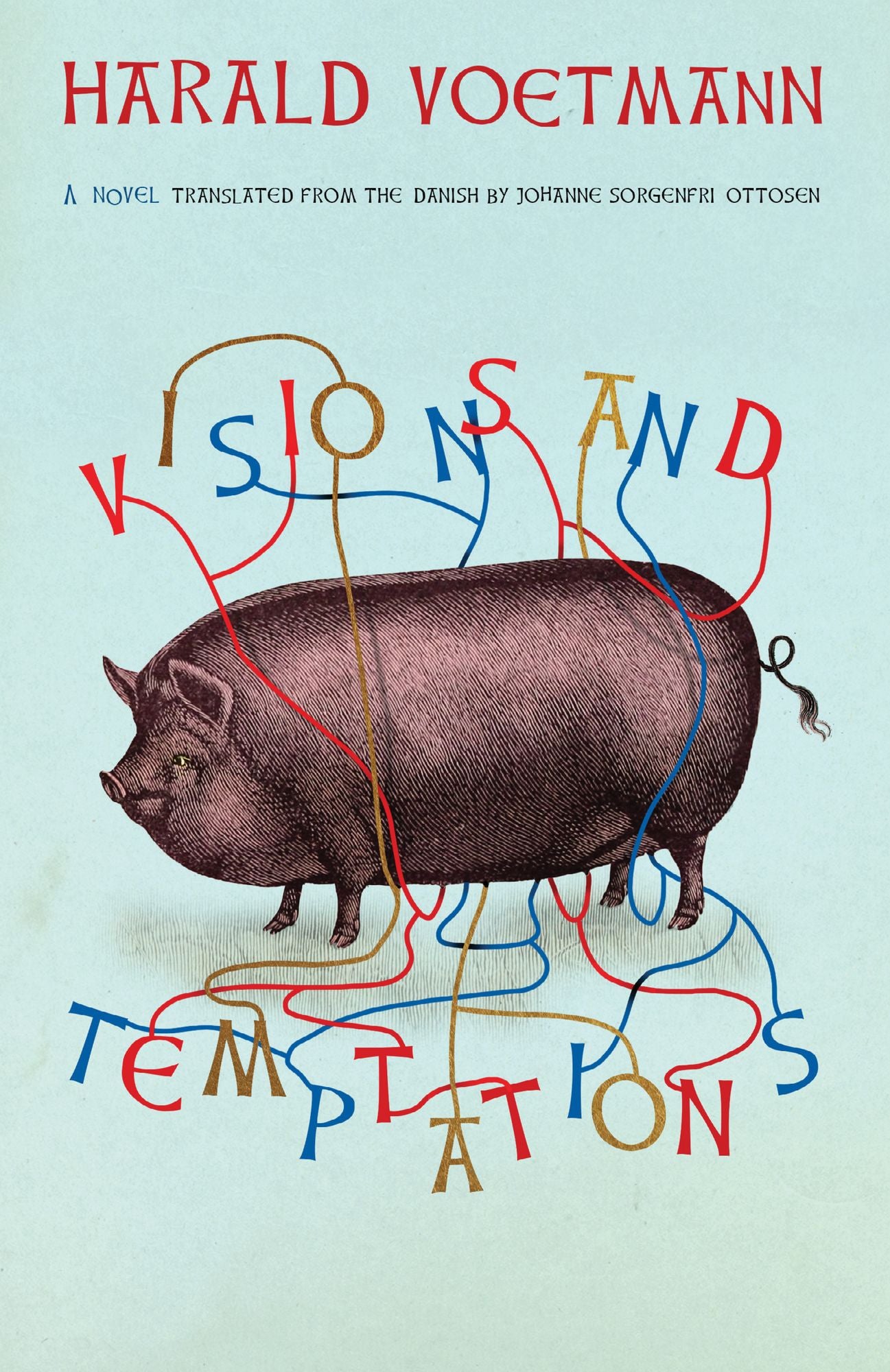 Visions and Temptations