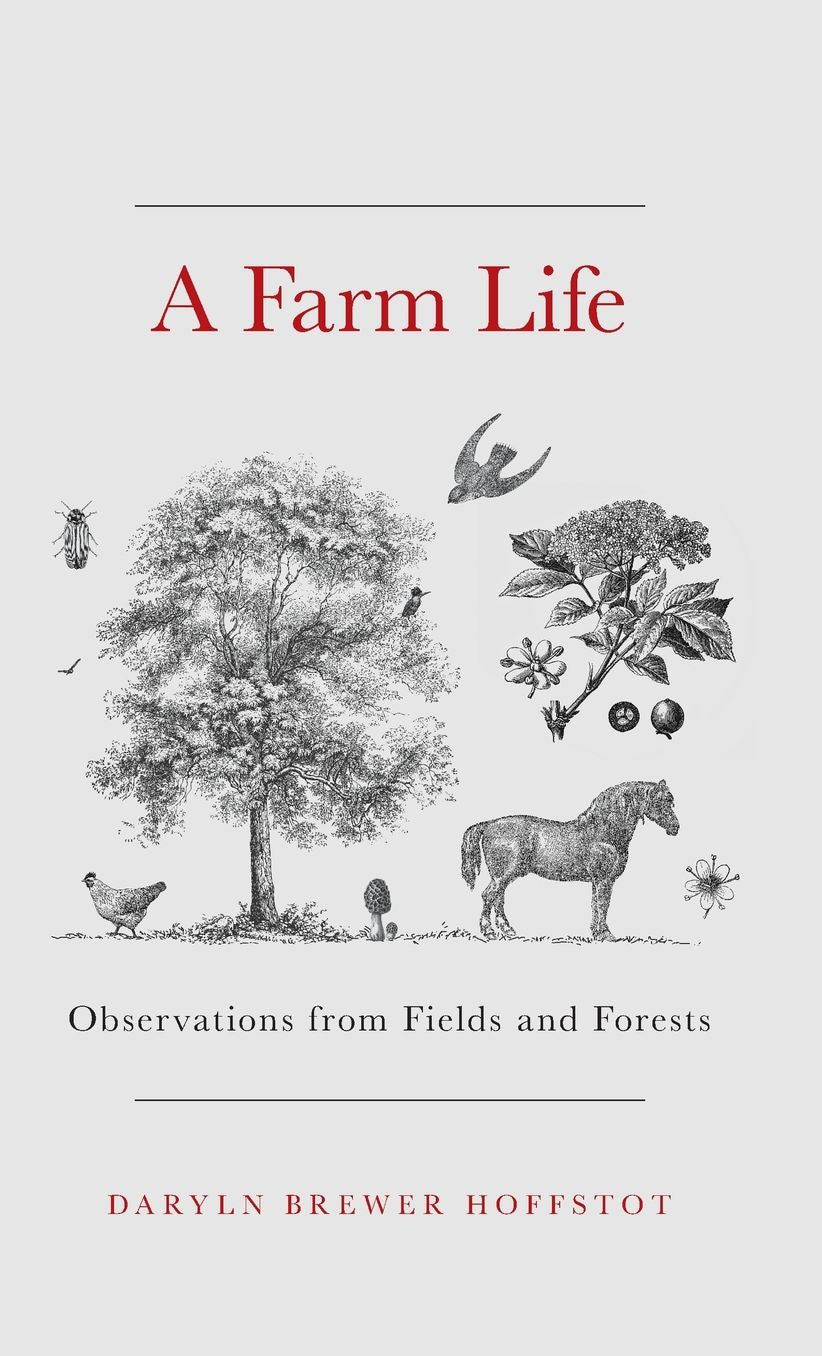 Farm Life: Observations from Fields and Forests