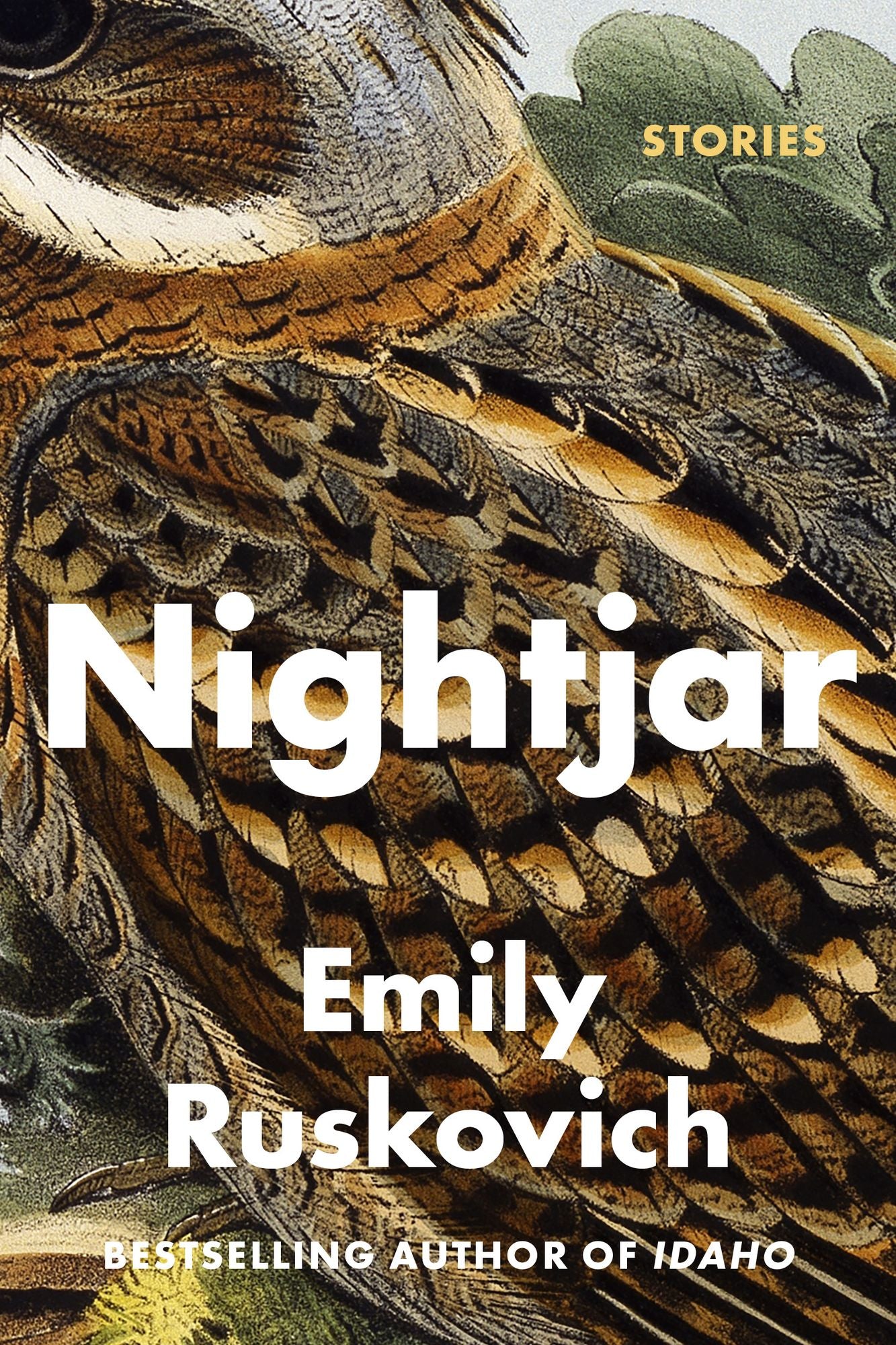 Nightjar: Stories