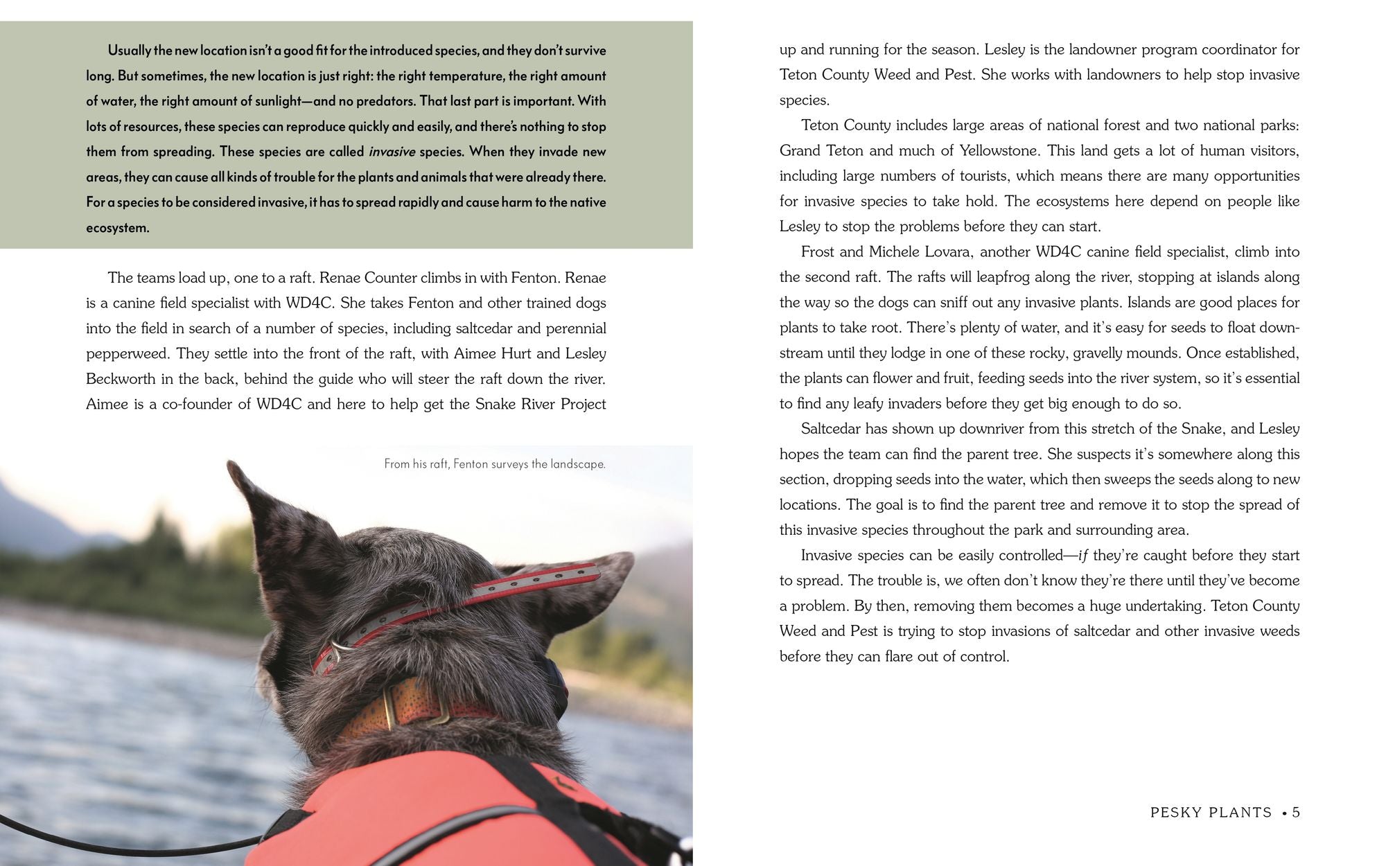 Detective Dogs: How Working Dogs Sniff Out Invasive Species