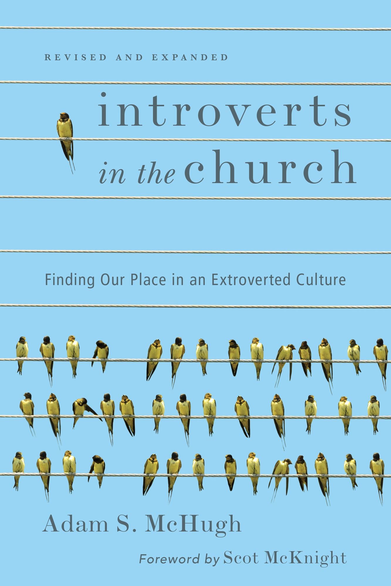 Introverts in the Church: Finding Our Place in an Extroverted Culture