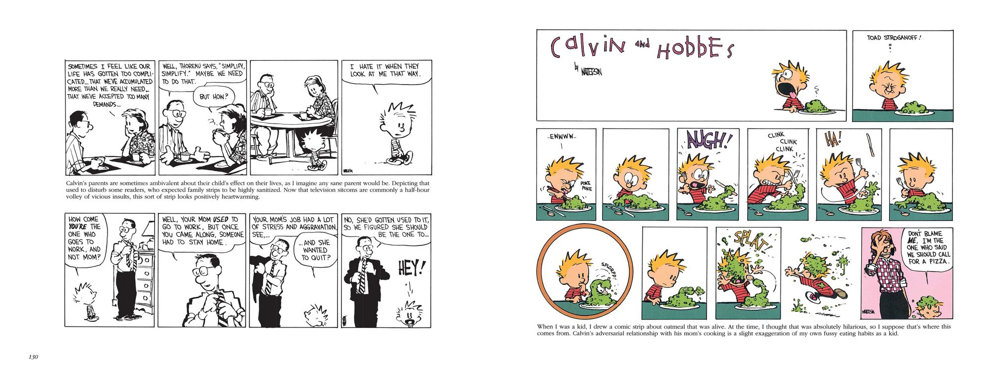 The Calvin and Hobbes Tenth Anniversary Book