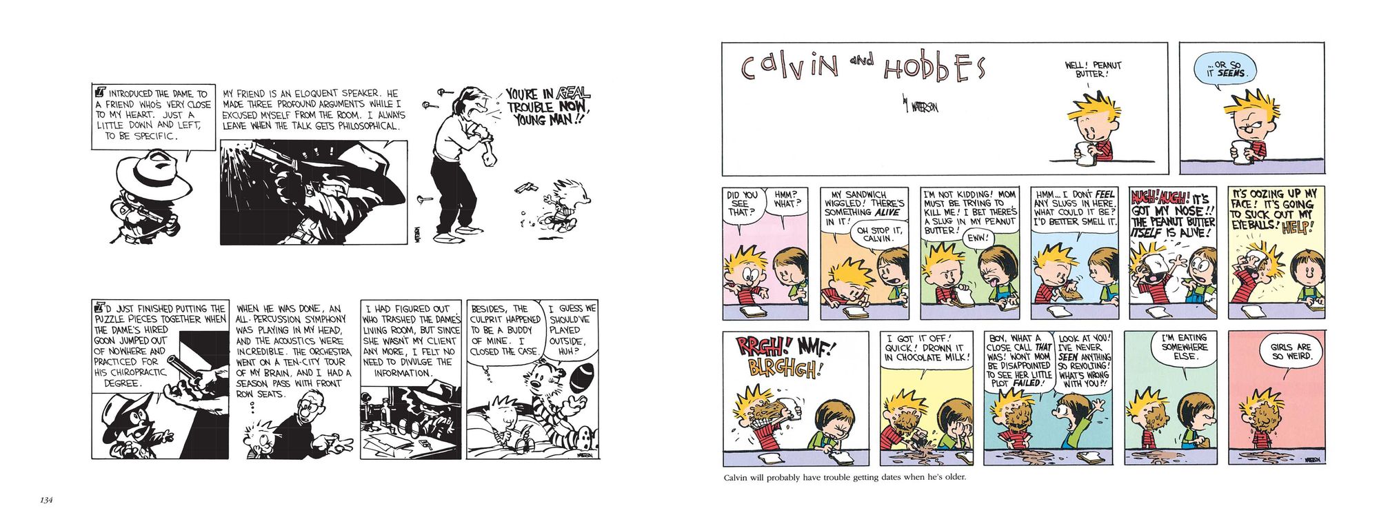 The Calvin and Hobbes Tenth Anniversary Book