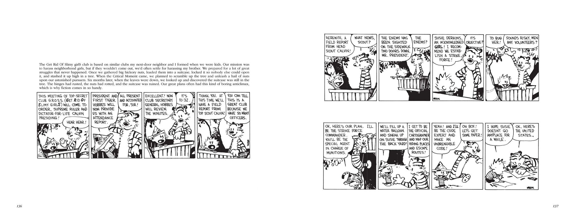 The Calvin and Hobbes Tenth Anniversary Book