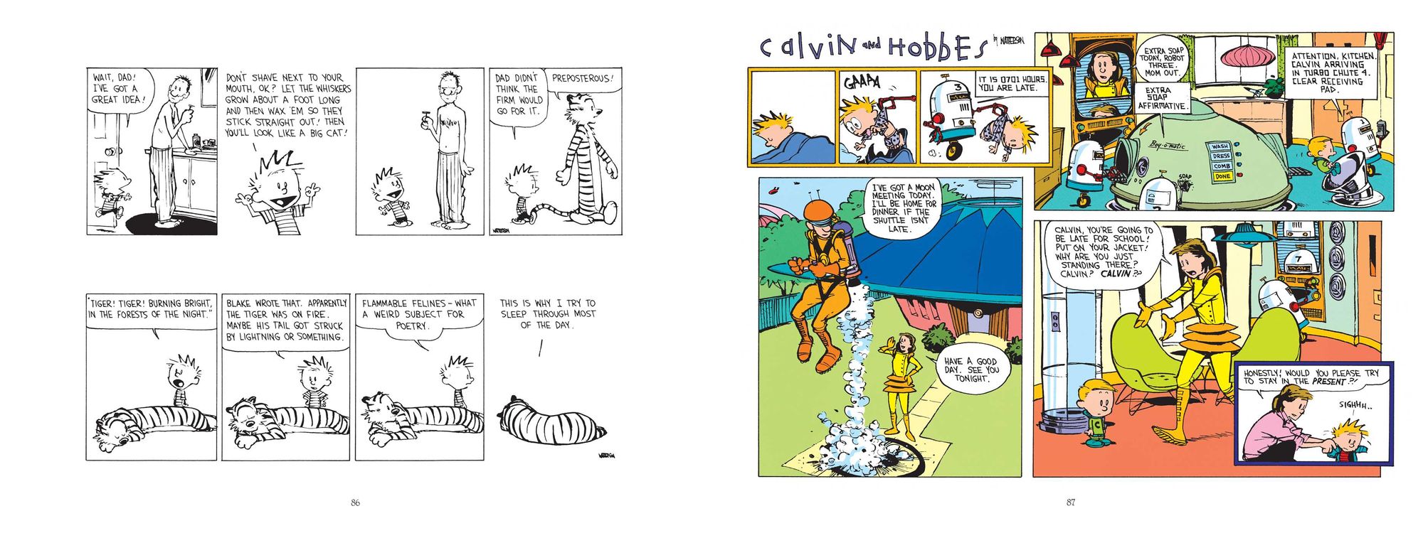 Homicidal Psycho Jungle Cat: A Calvin and Hobbes Collection