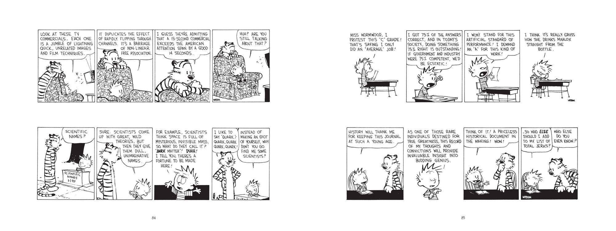 Homicidal Psycho Jungle Cat: A Calvin and Hobbes Collection