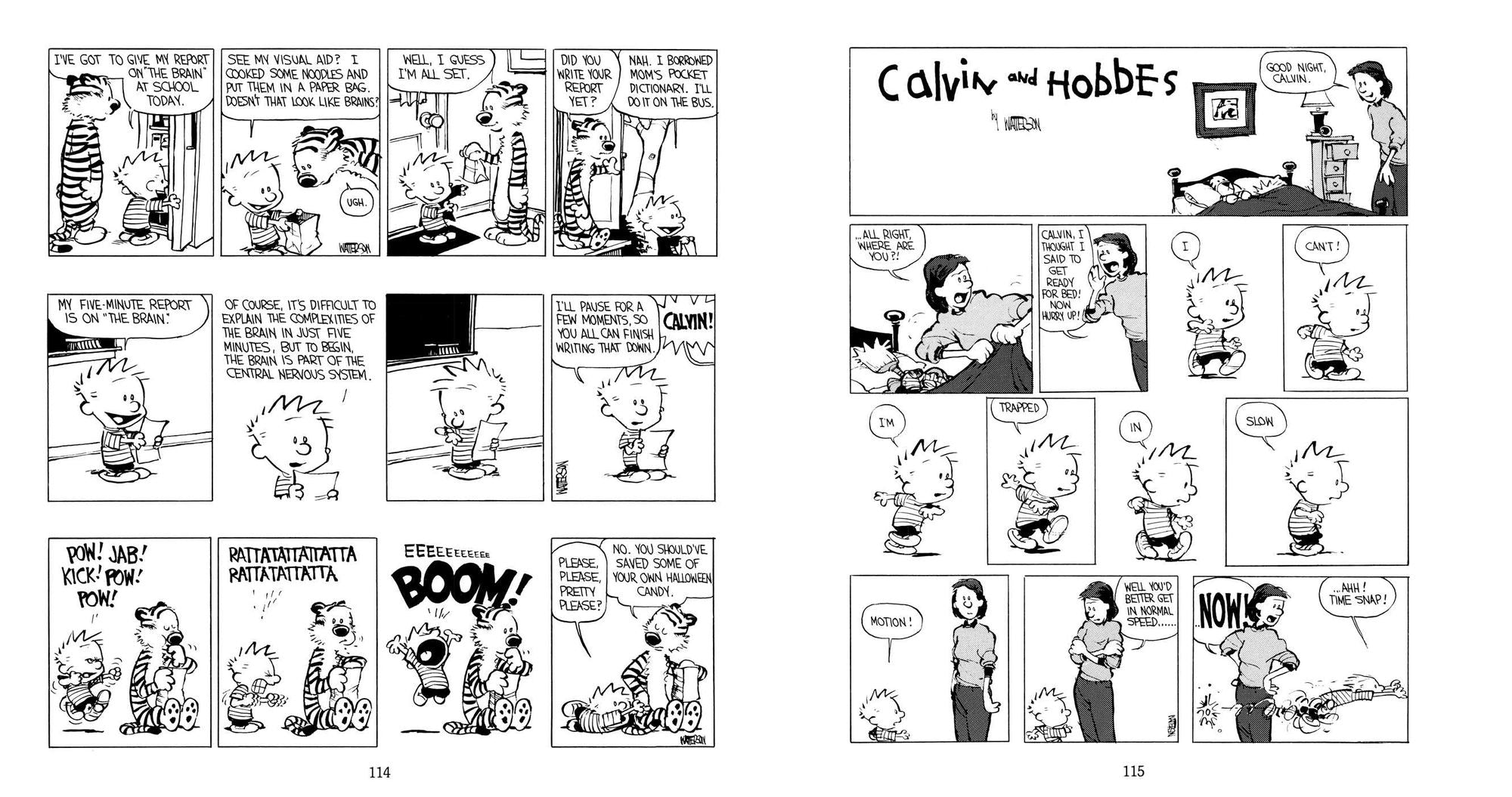 Something under the Bed Is Drooling: A Calvin and Hobbes Collection