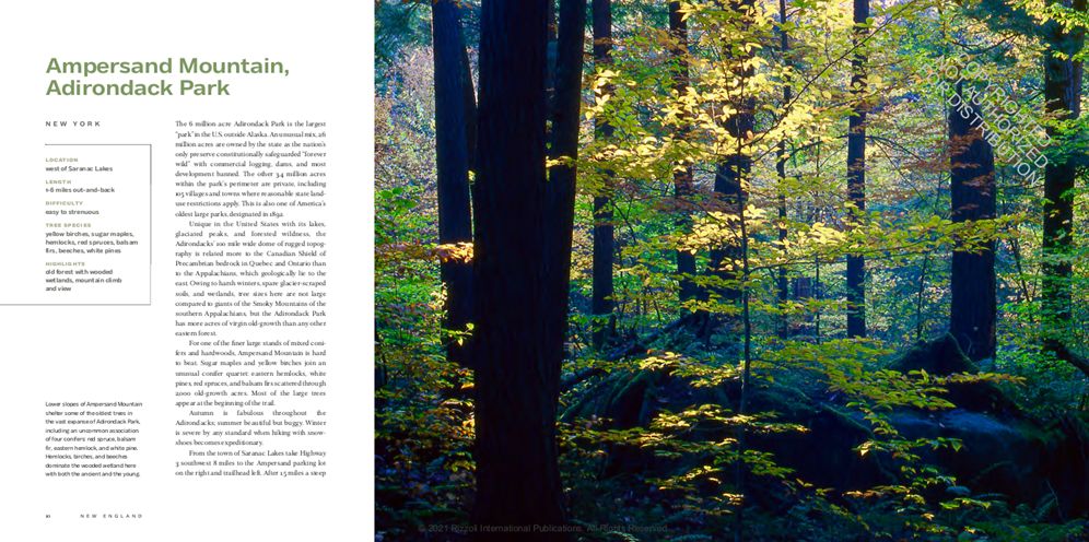 America's Great Forest Trails: 100 Woodland Hikes of a Lifetime
