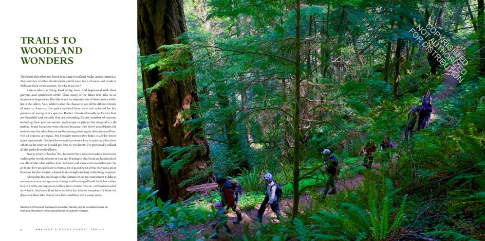 America's Great Forest Trails: 100 Woodland Hikes of a Lifetime