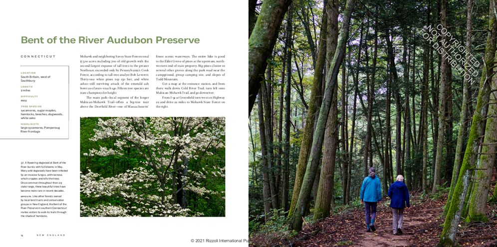 America's Great Forest Trails: 100 Woodland Hikes of a Lifetime